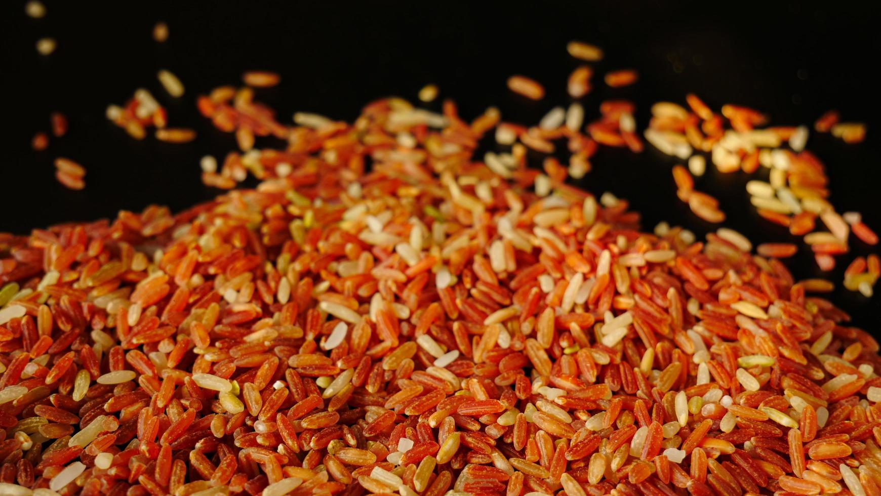 variedades de granos de arroz arroz jazmín rojo o arroz integral rojo. nueva variedad autóctona de tailandia. la vitamina b ayuda a tratar las alergias. y no provoca reacciones alérgicas apta para pacientes con anemia. foto