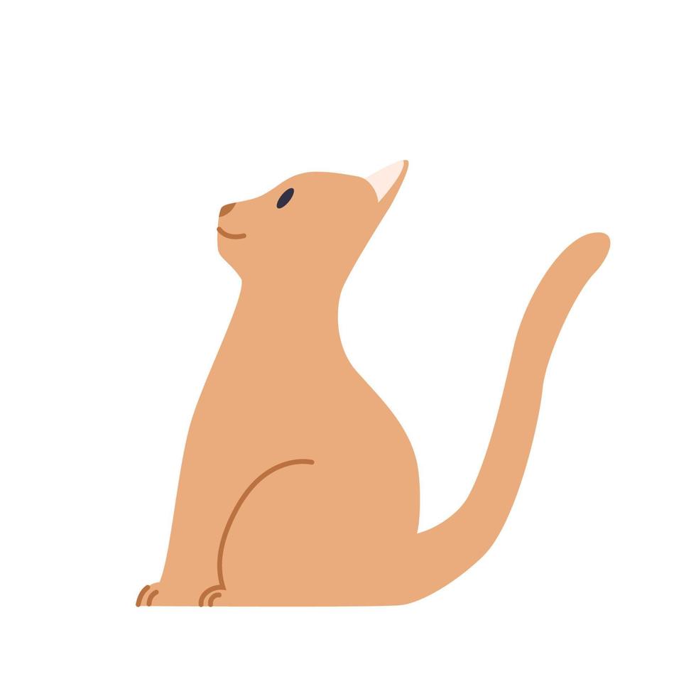 lindo gato sentado. ilustración vectorial plana sobre un fondo blanco aislado. vector