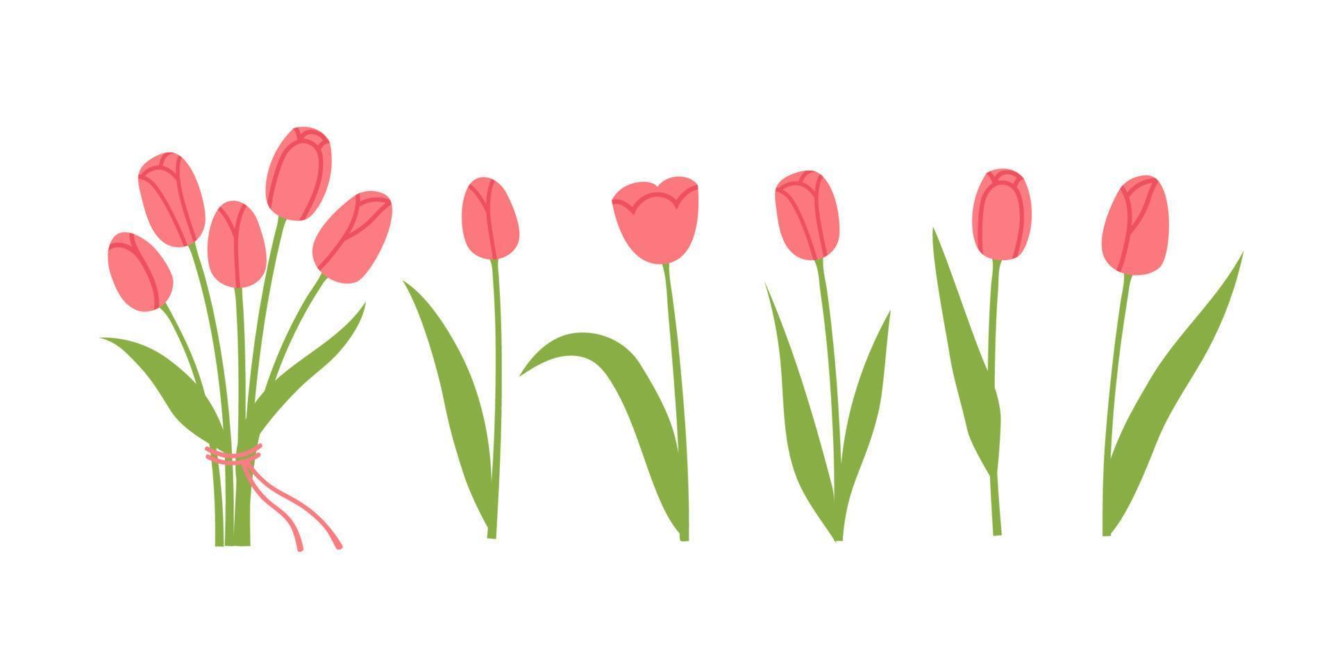 Set of abstract tulips. Bouquet of spring flowers. Flat vector illustration on a white isolated background.
