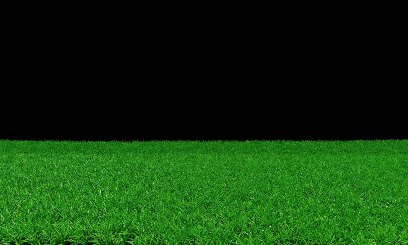 Bright green lawn There are long, short grasses alternating. Side view of the grass or green field with a black background.3D Rendering photo