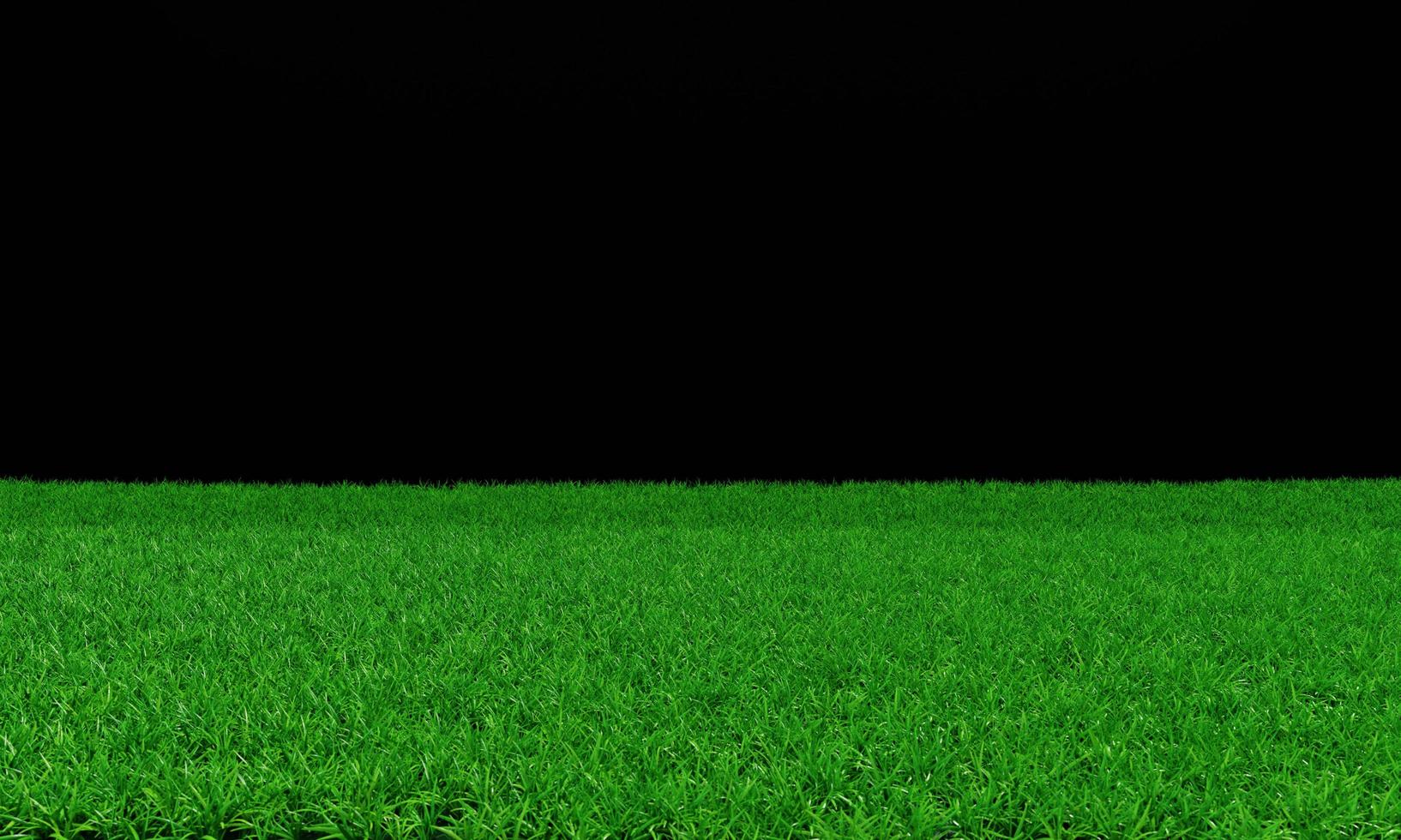 Bright green lawn There are long, short grasses alternating. Side view of the grass or green field with a black background.3D Rendering photo