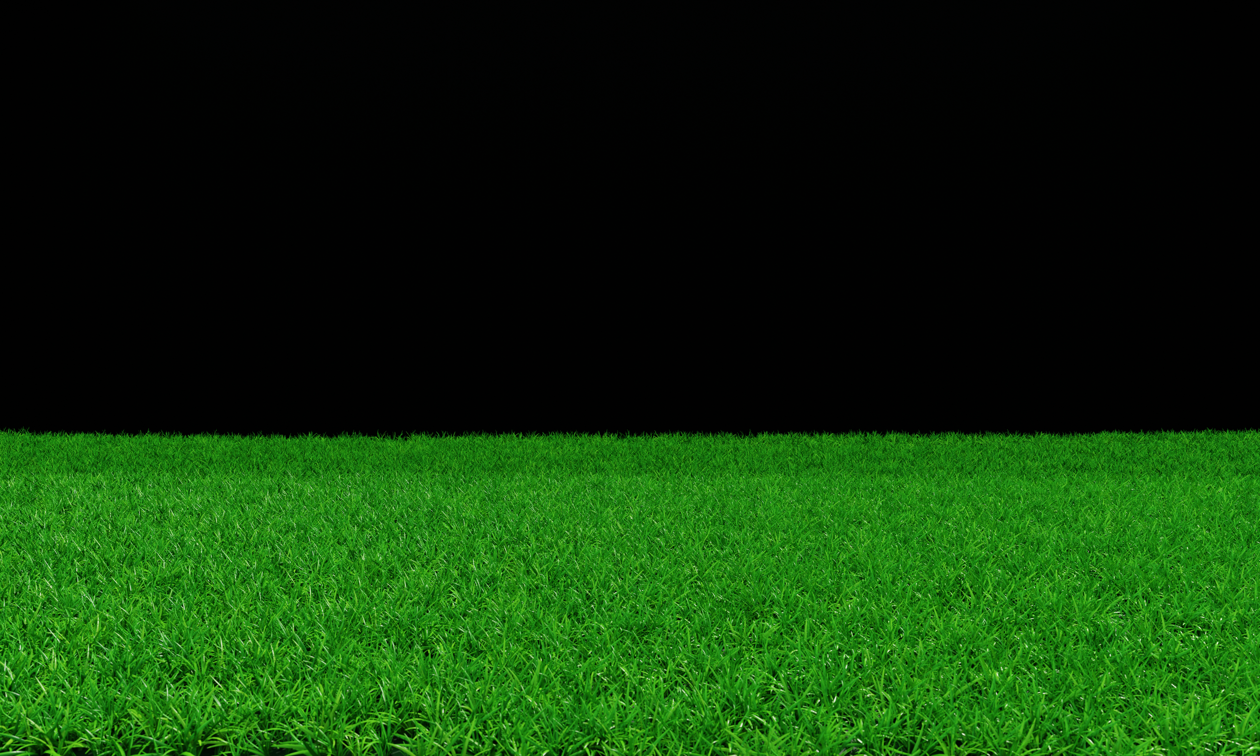 Grass Lawn Stock Photos, Images and Backgrounds for Free Download