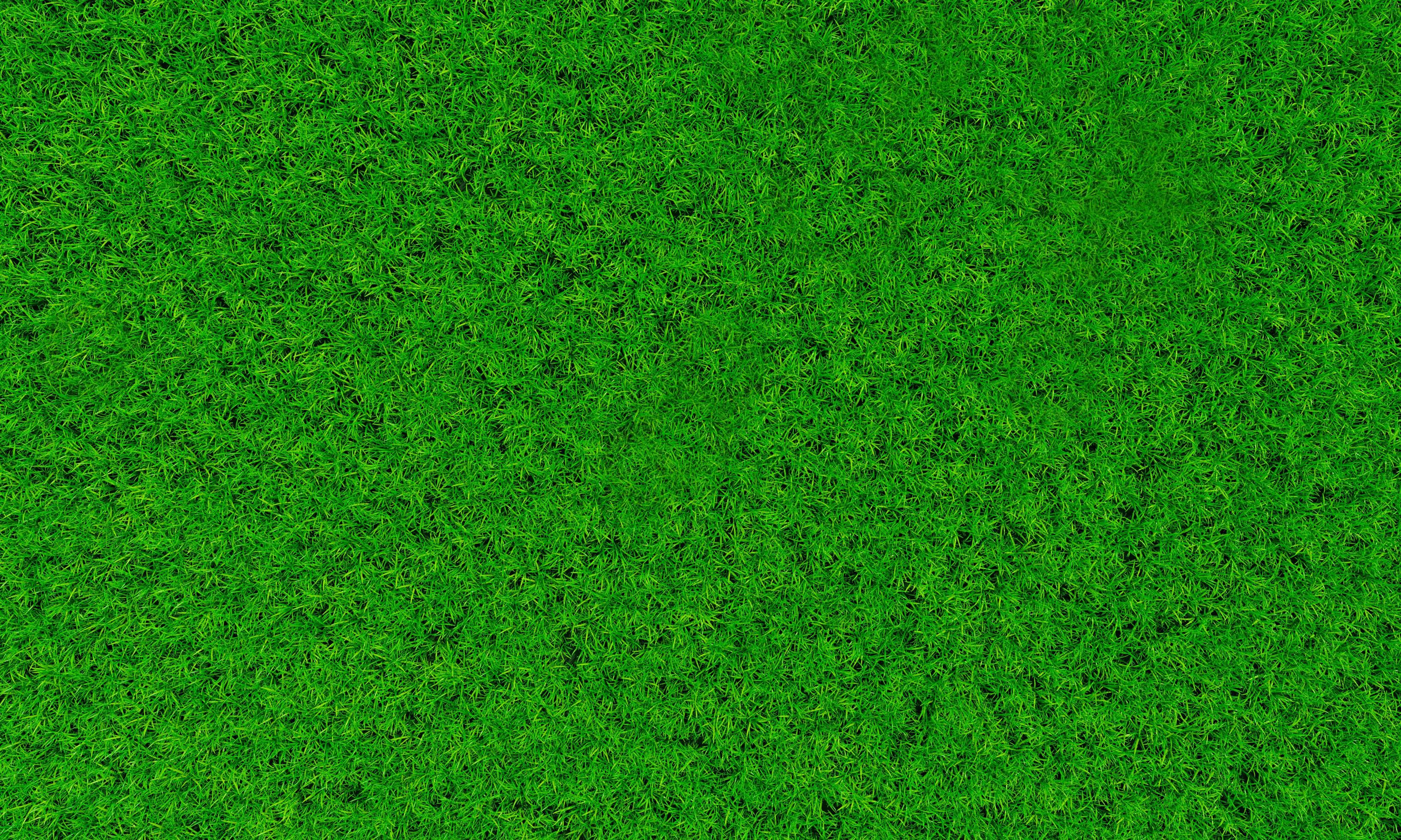 Top view Fresh green lawns for background, backdrop or wallpaper. Plains  and grasses of various sizes are neat and tidy. The lawn surface is evenly  shining and  Rendering 6662456 Stock Photo