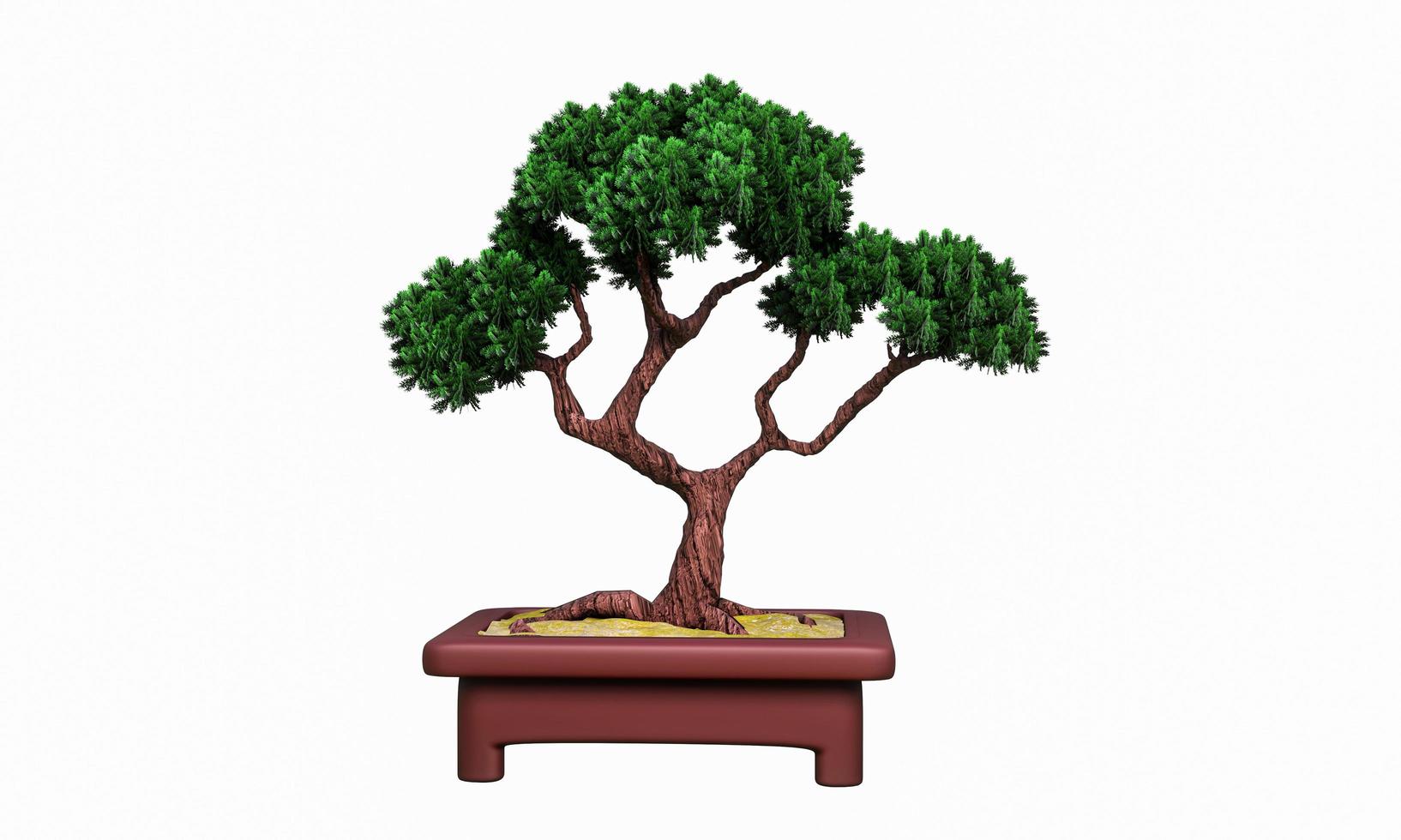 plantas en macetas pequeñas o bonsai. macetas de terracota y plantas permanentes. pino curvo en una maceta pequeña. representación 3d foto
