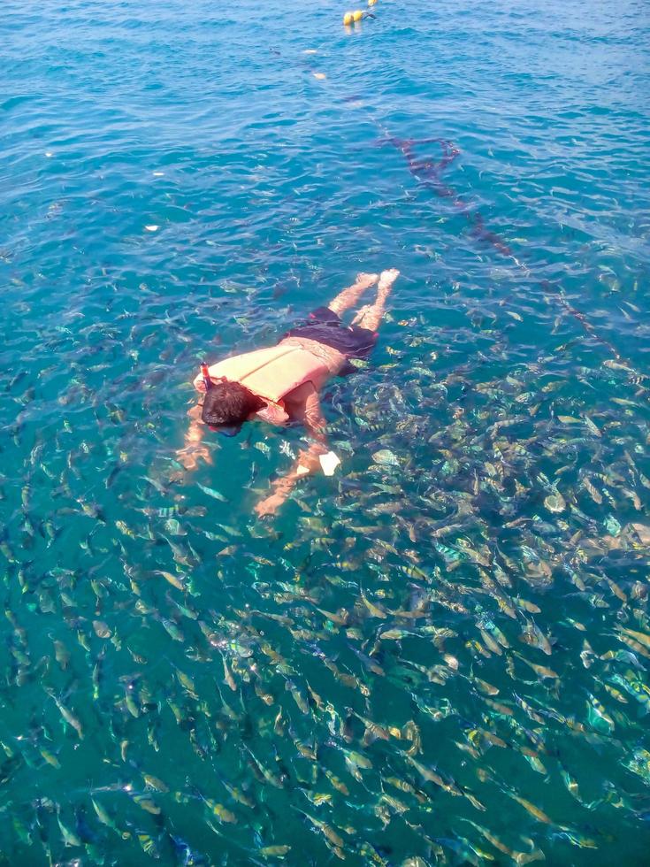 muchos peces pululan alrededor de los turistas en el mar. bucear en la superficie del agua. tour marino para ver la vida acuática en rayong, tailandia. foto