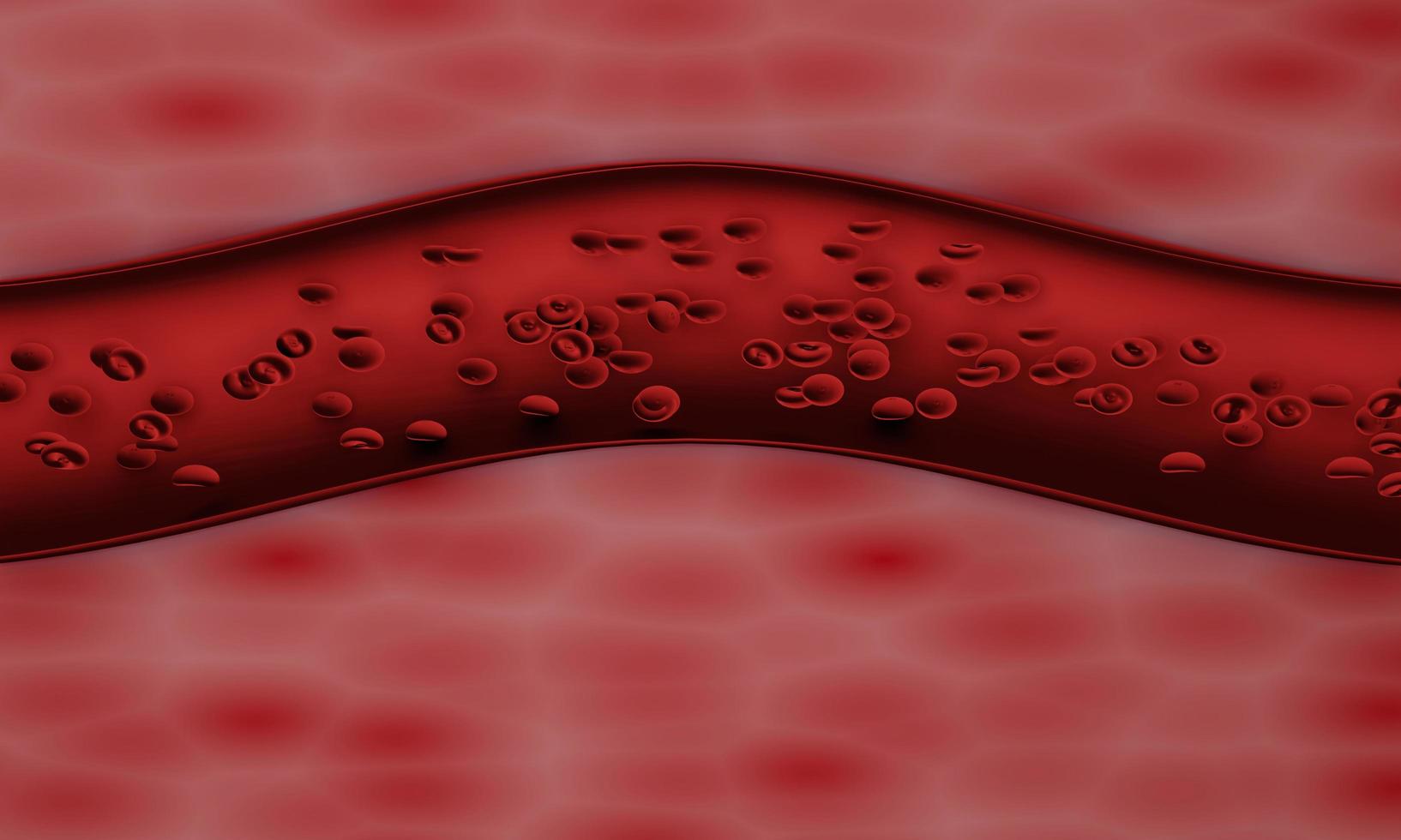 Red blood cells in an artery or  blood vessel , flow inside body, medical human health-care. 3D Rendering. photo