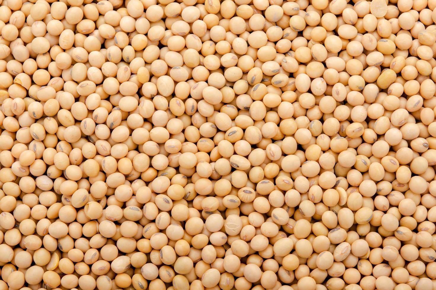 Soybean pattern as for background photo