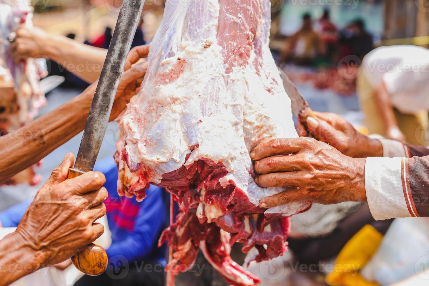 el proceso de corte de carne qurban en el ritual eid al-adha por los musulmanes indonesios islam foto