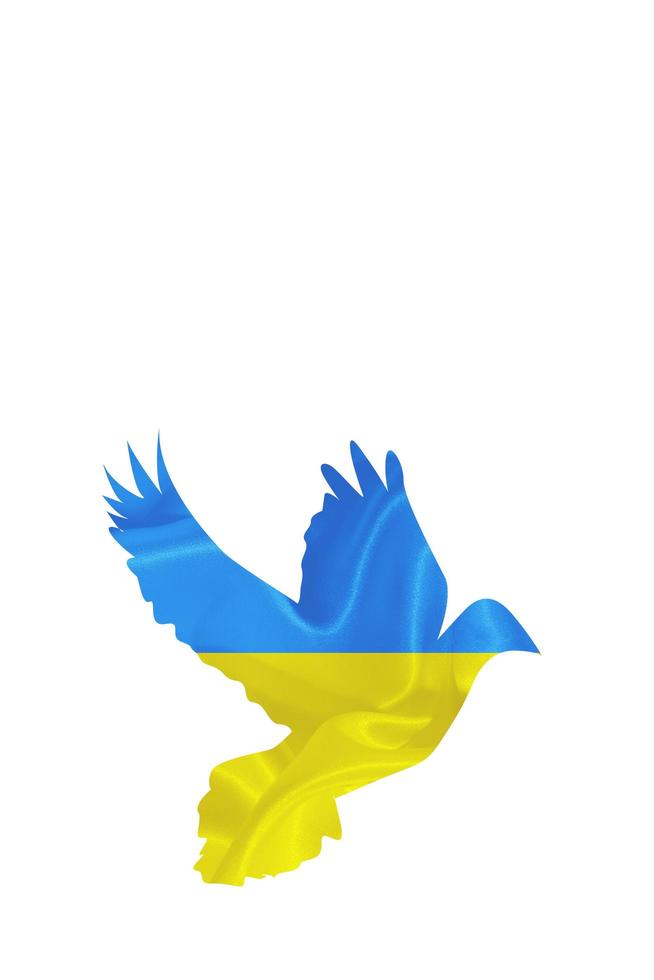 Blue-yellow Ukrainian flag with the silhouette of the dove of peace isolated on white photo