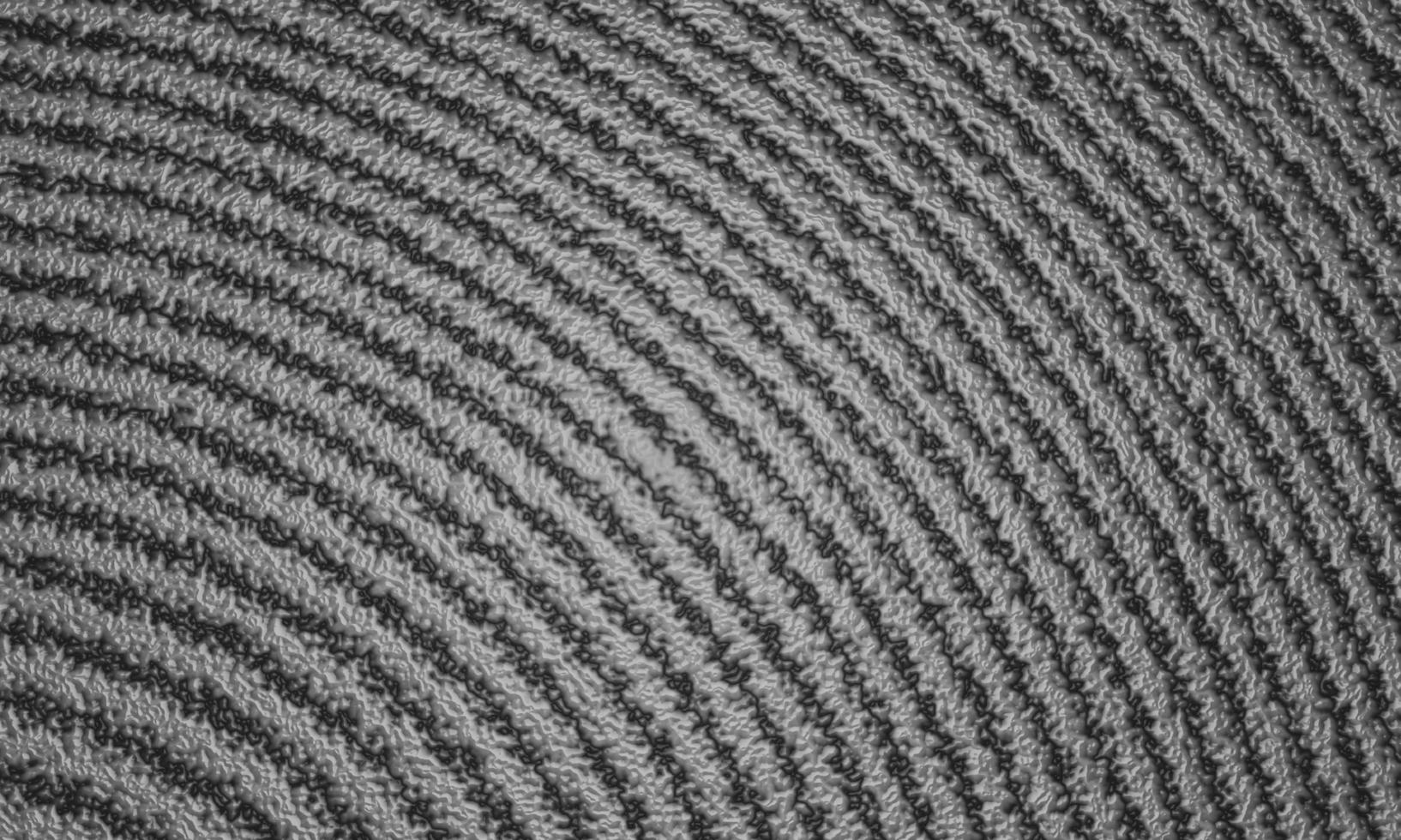 Black and white  wave stripe optical abstract design. Vector background. curved lines. 3D rendering. photo