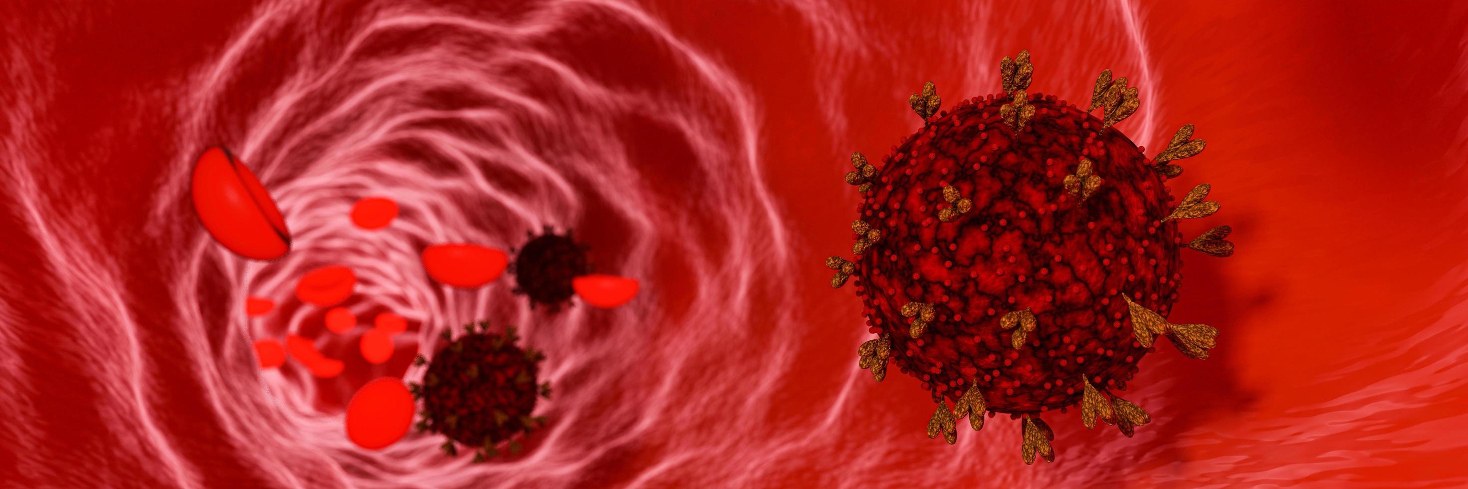 modelo de coronavirus o covid-19 en vasos sanguíneos y células sanguíneas. el brote del virus en el torrente sanguíneo en el cuerpo humano. representación 3d foto