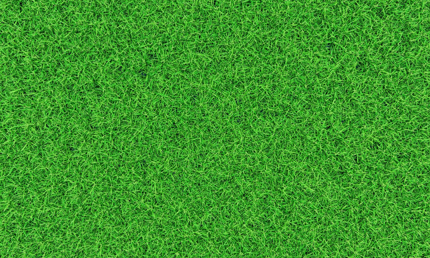 Top view Fresh green lawns for background, backdrop or wallpaper. Plains and grasses of various sizes are neat and tidy. The lawn surface is evenly shining and bright.3D Rendering photo