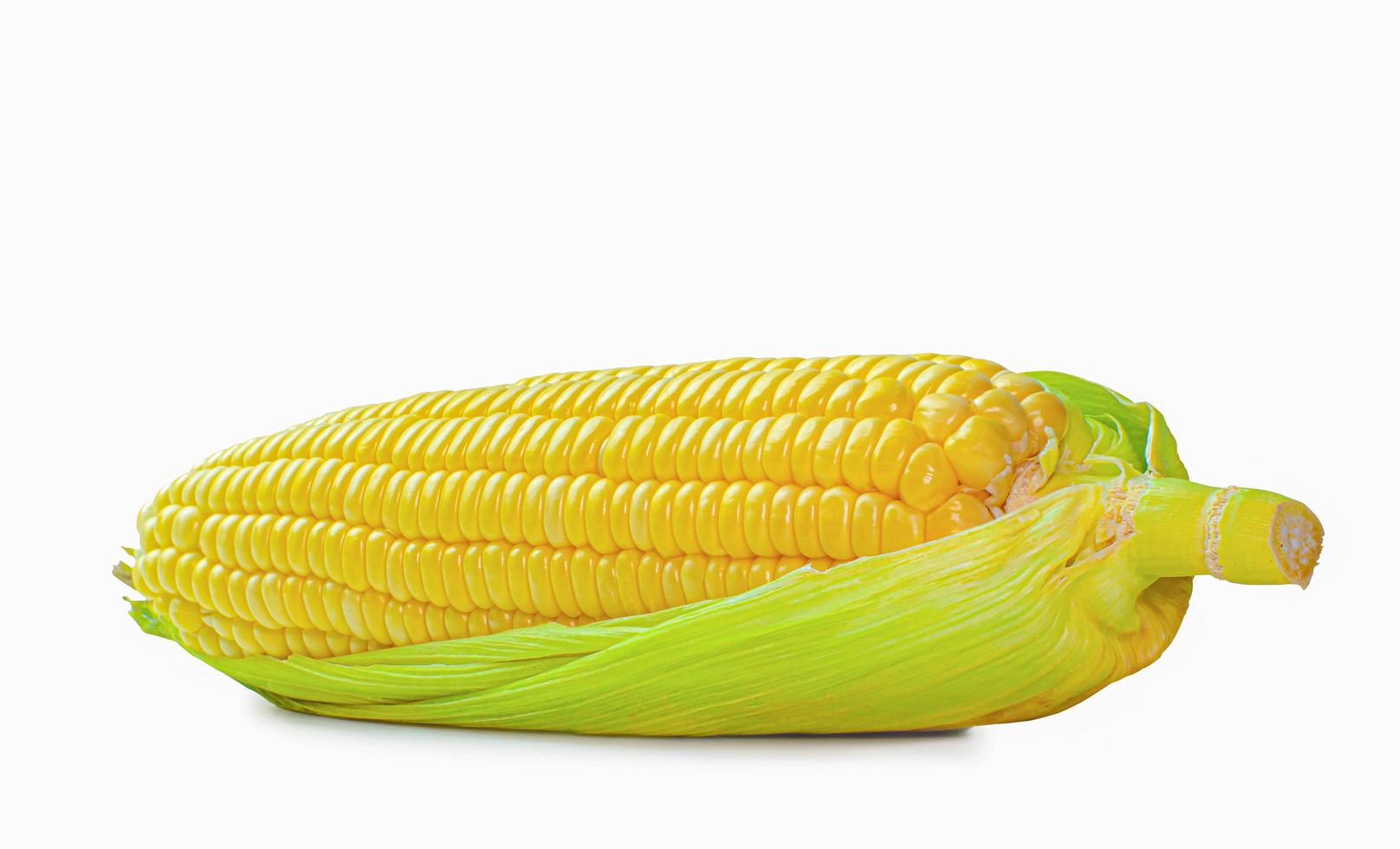 Single ear of corn with green leaves . Fresh corn on cob isolated on white background. photo