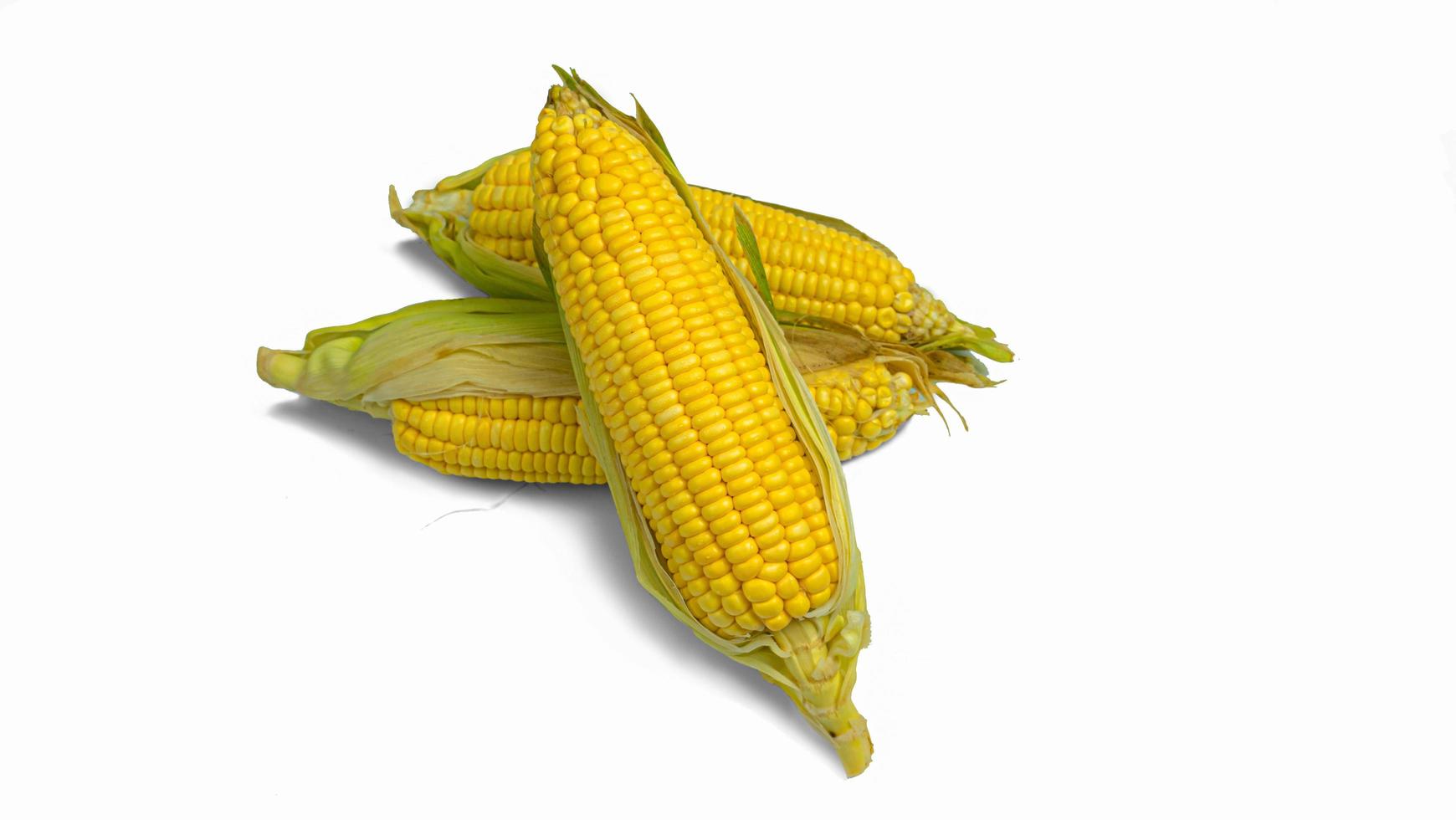 three ears of corn with green leaves . Fresh corn on cob isolated on white background. photo