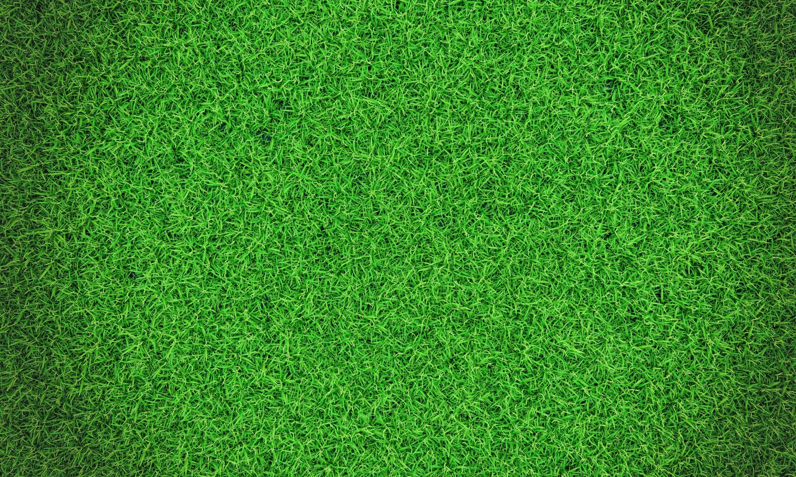 Green grass background vignette or the naturally walls texture . Top view Fresh green lawns for background, backdrop or wallpaper. Plains and grasses of various sizes are neat and tidy. The lawn photo