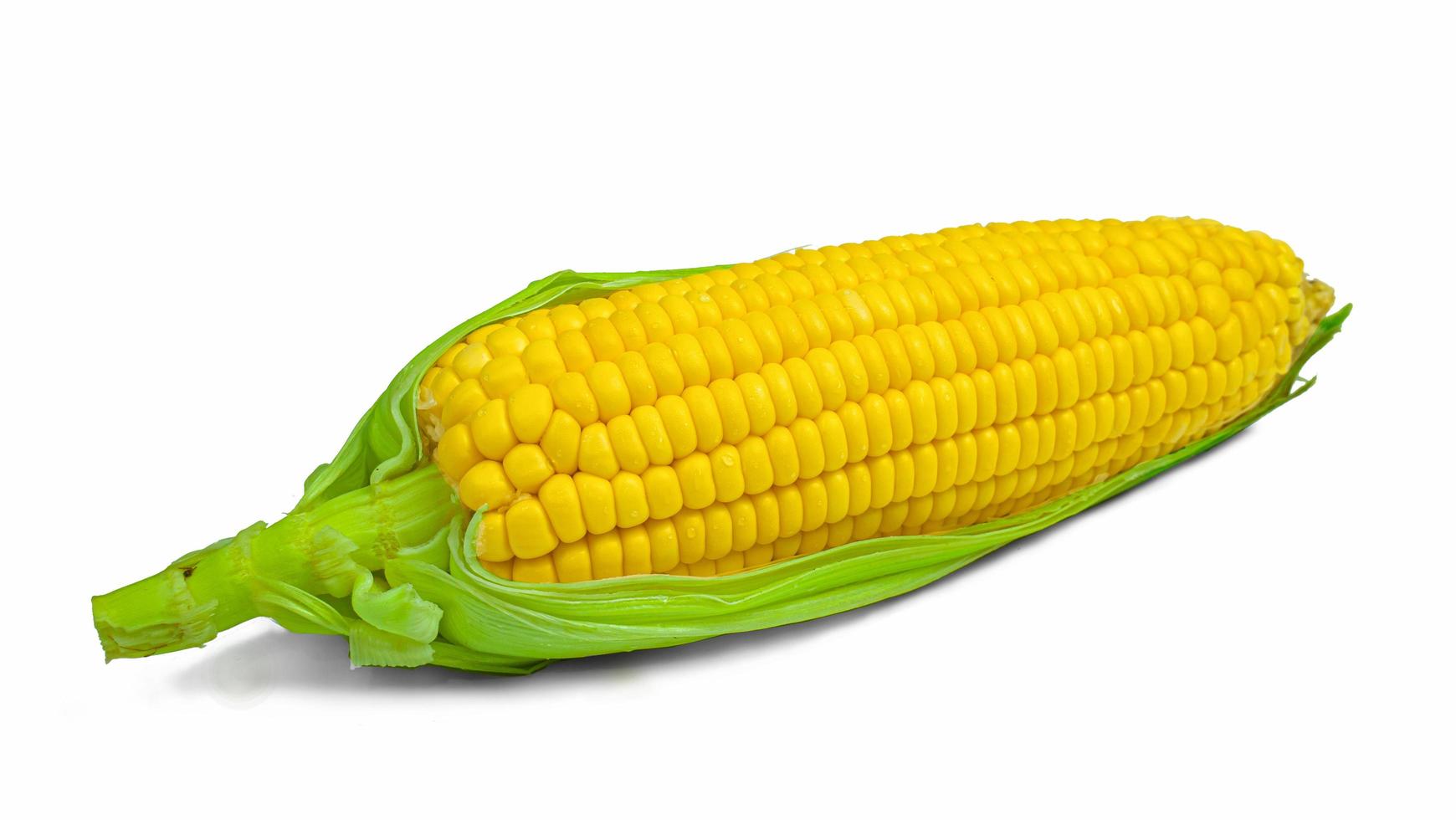 Single ear of corn with green leaves . Fresh corn on cob isolated on white background. photo