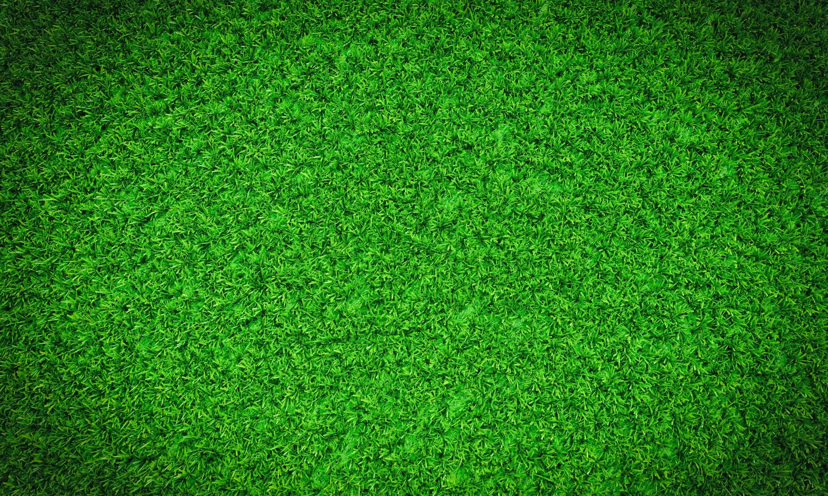 Top view Fresh green lawn For football and soccer fields or golf courses. For use to make background or wallpaper garden. Fresh green grass for a playground. 3D Rendering photo