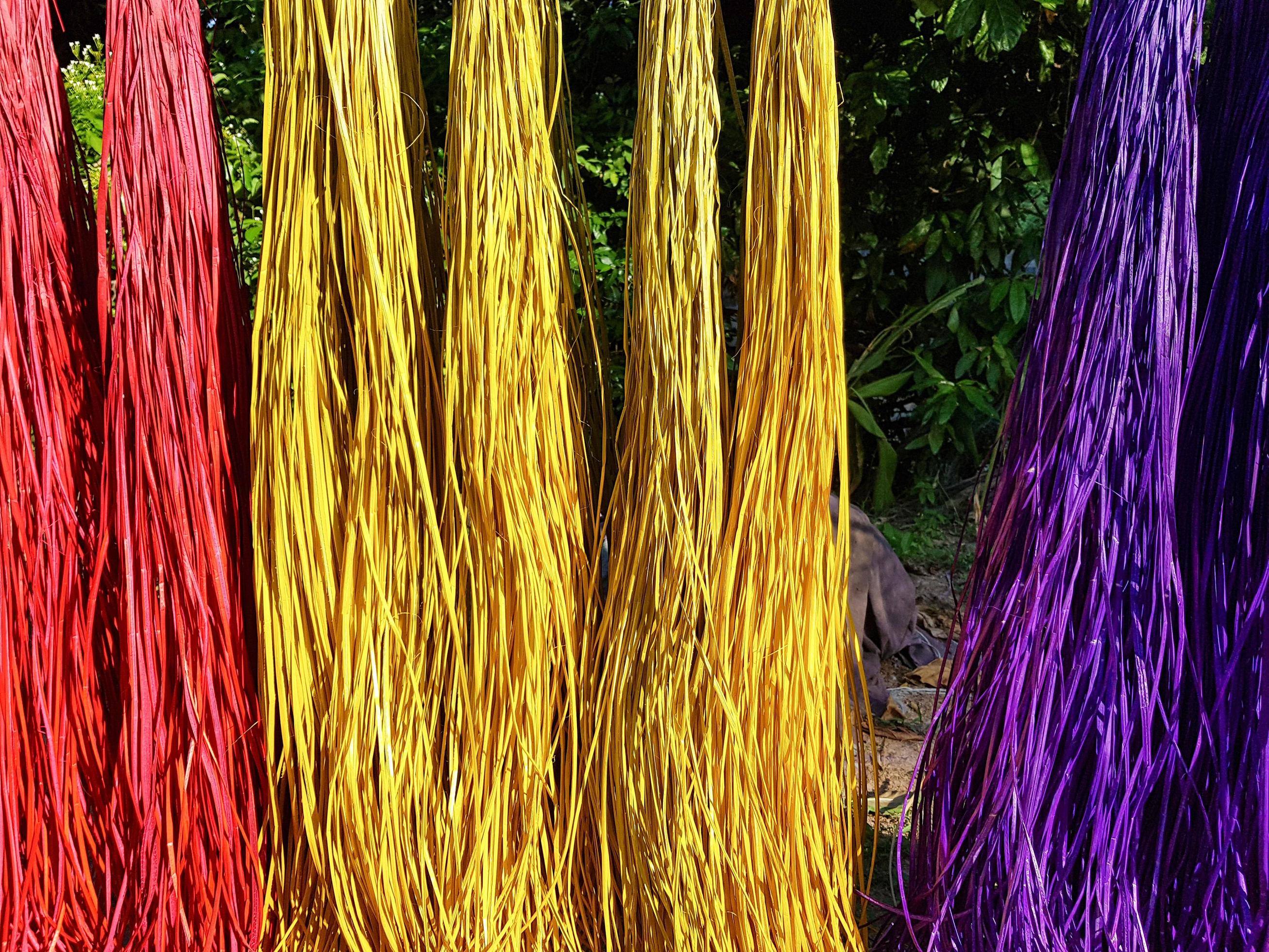 The reeds are dyed and dried in the sun to wait for the weaving of reed