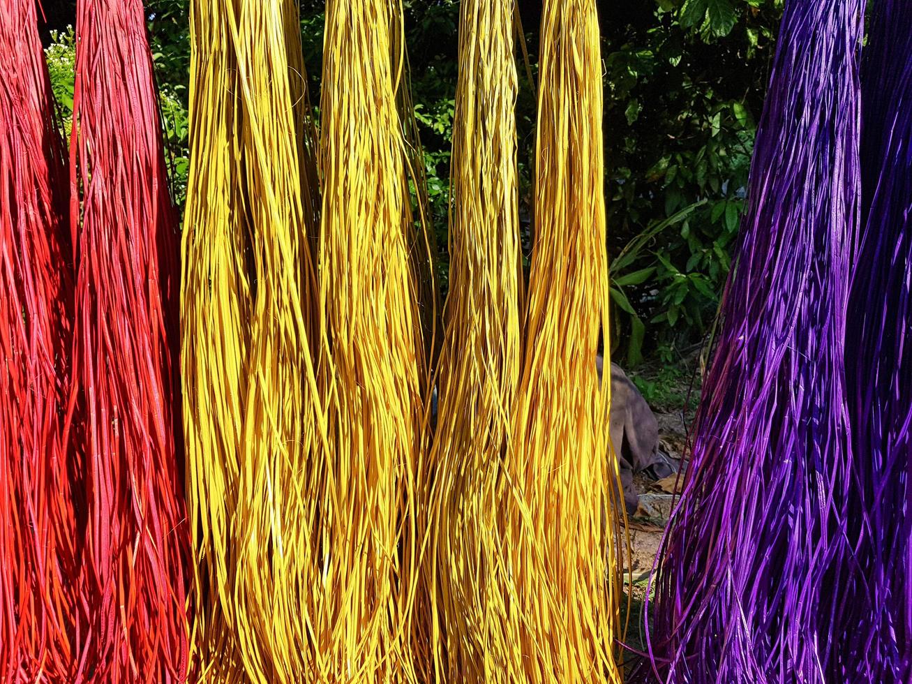The reeds are dyed and dried in the sun to wait for the weaving of reed mats, wickerwork, handicrafts. photo