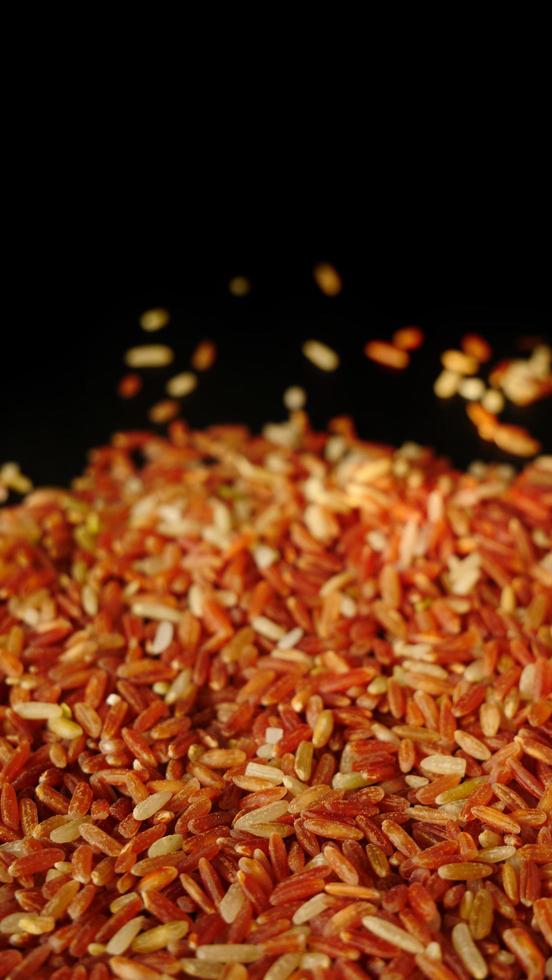 variedades de granos de arroz arroz jazmín rojo o arroz integral rojo. nueva variedad autóctona de tailandia. la vitamina b ayuda a tratar las alergias. y no provoca reacciones alérgicas apta para pacientes con anemia. foto