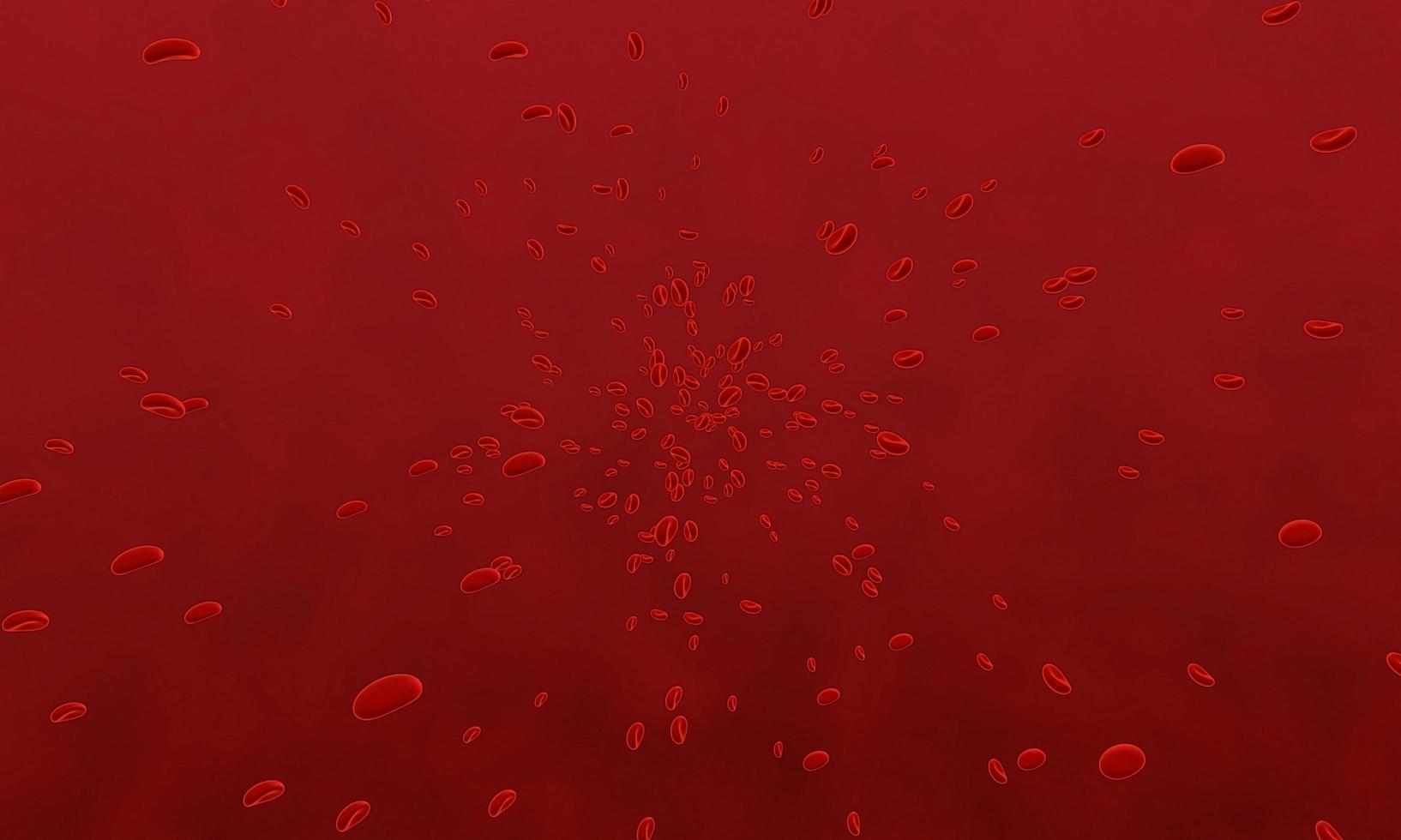Red blood cells moving in blood vessel . 3D rendering. use for background and wallpaper photo