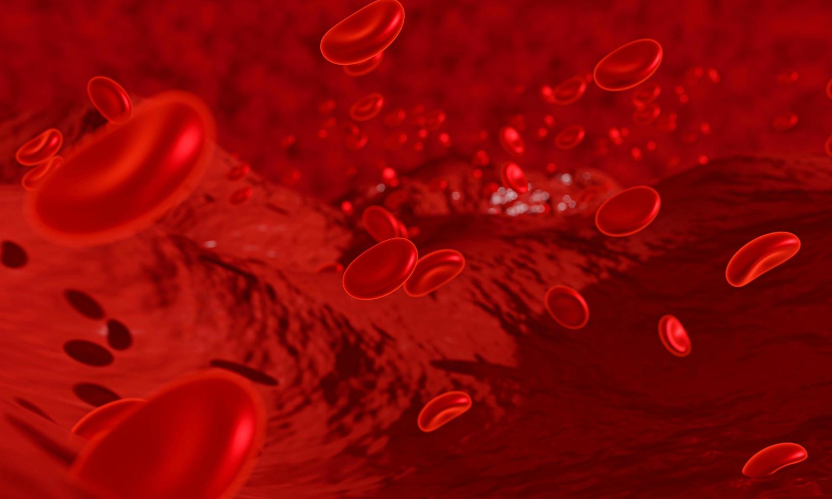 Red blood cells moving in blood vessel for land scape style. 3D rendering. use for background and wallpaper photo