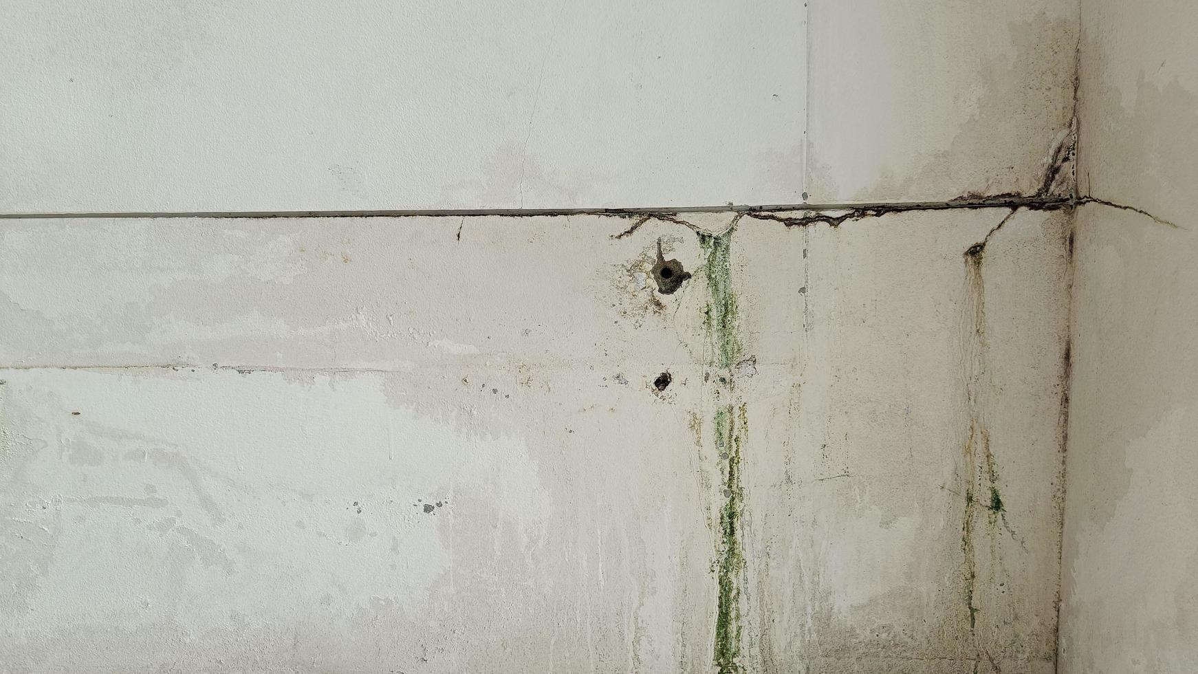 Image of the cracks mold on the wall photo