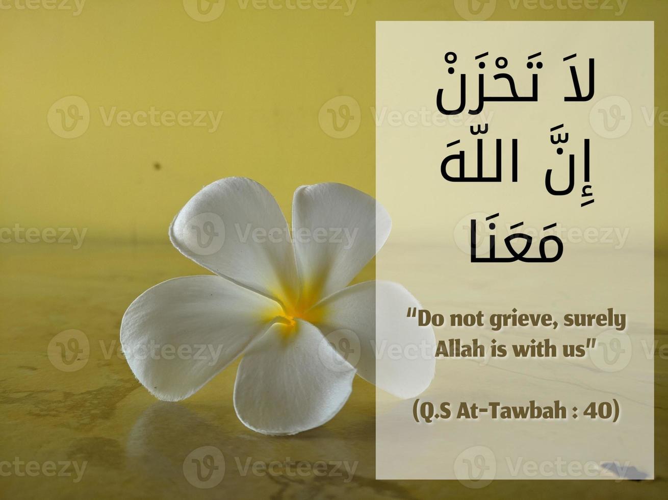 image of quotes surah from Al quran photo