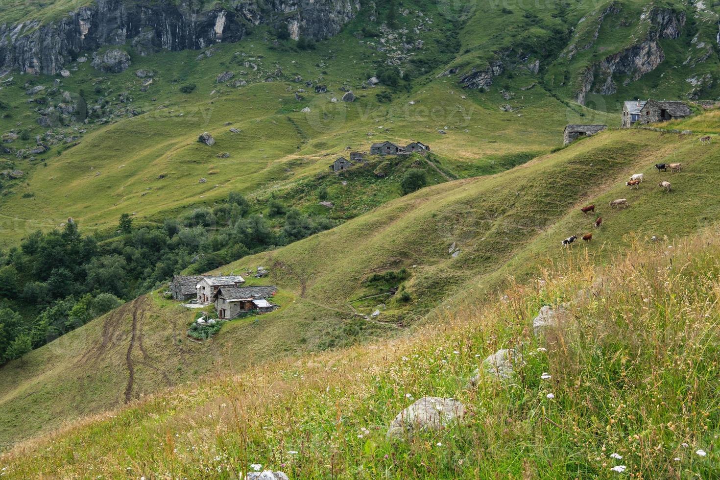 granja cerca de alpe pianmisura piamonte italia foto