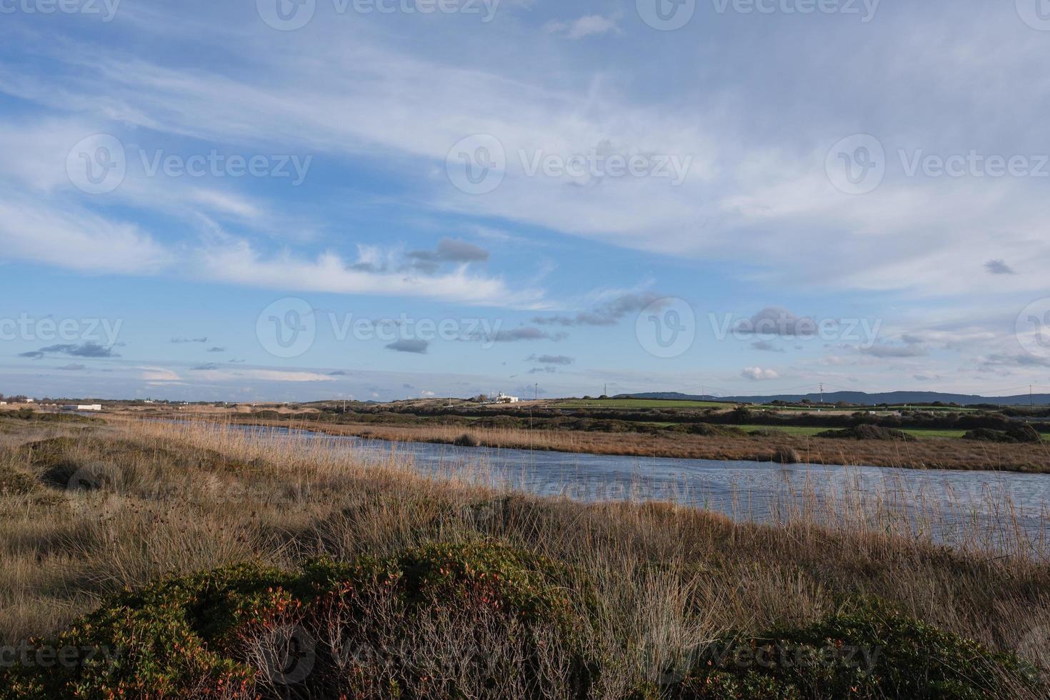 Parco delle Dune Costiere Fasano Apulia Italy photo