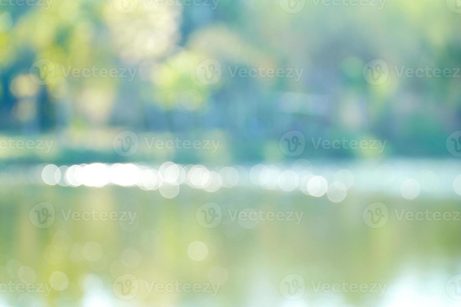 luces borrosas verdes naturales abstractas con bokeh en la playa, árboles de fondo borroso, bokeh y animación circular brillante foto