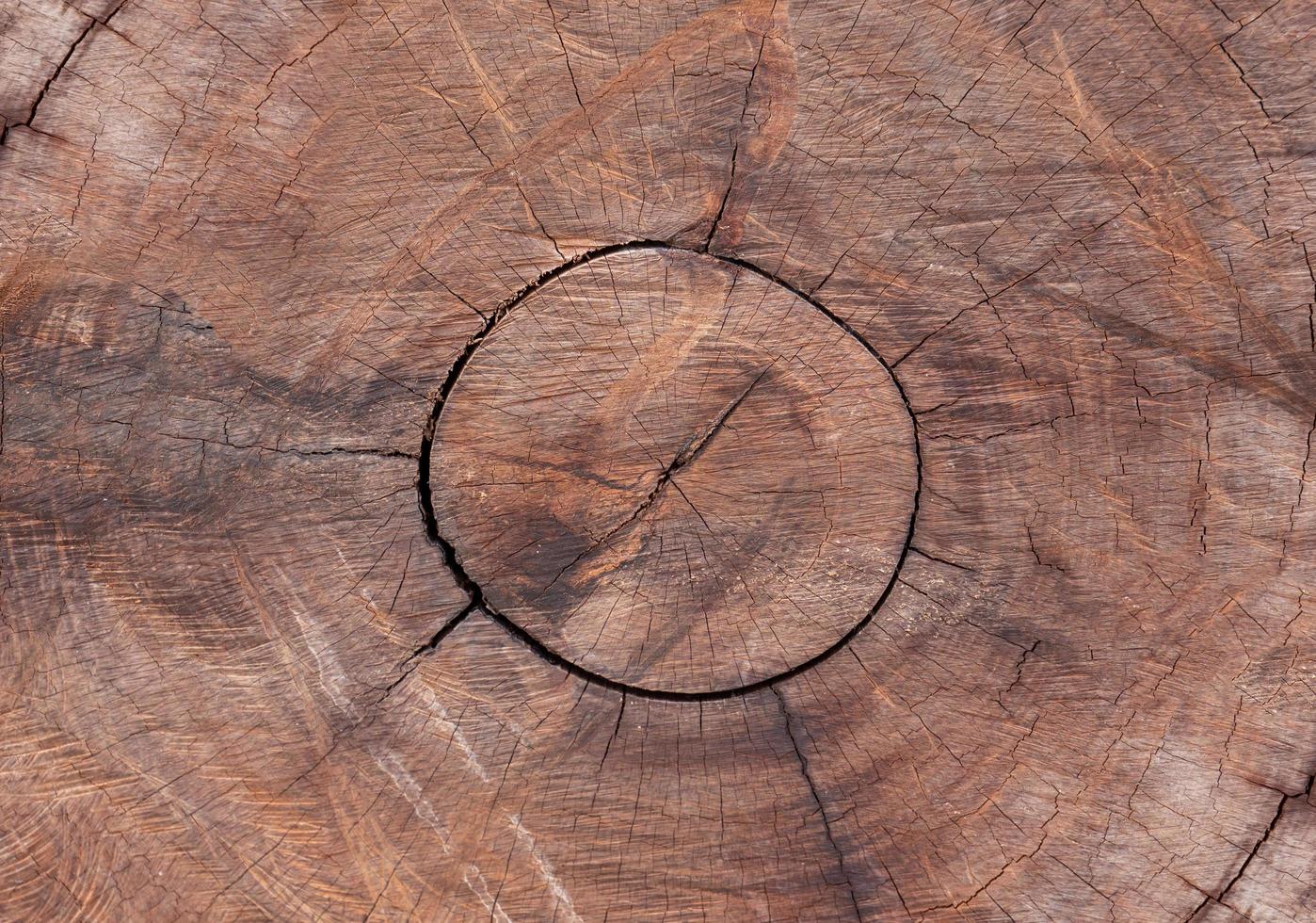 Circle of wood pattern. The face pattern is cut around the age of the wood. The texture of the wood grain is cut with a chainsaw. photo