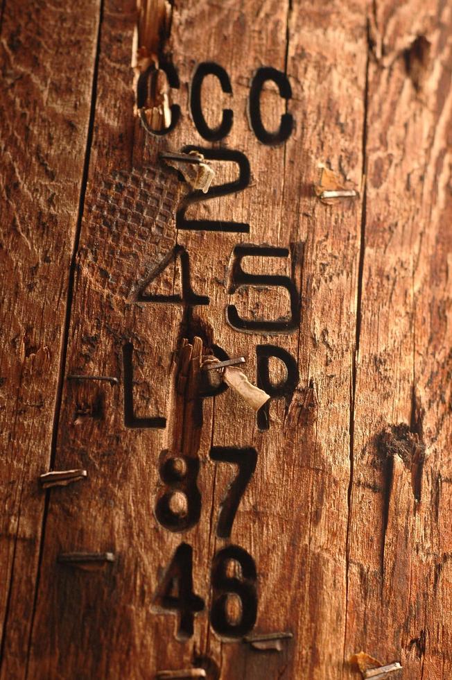 number carved on a trunk photo