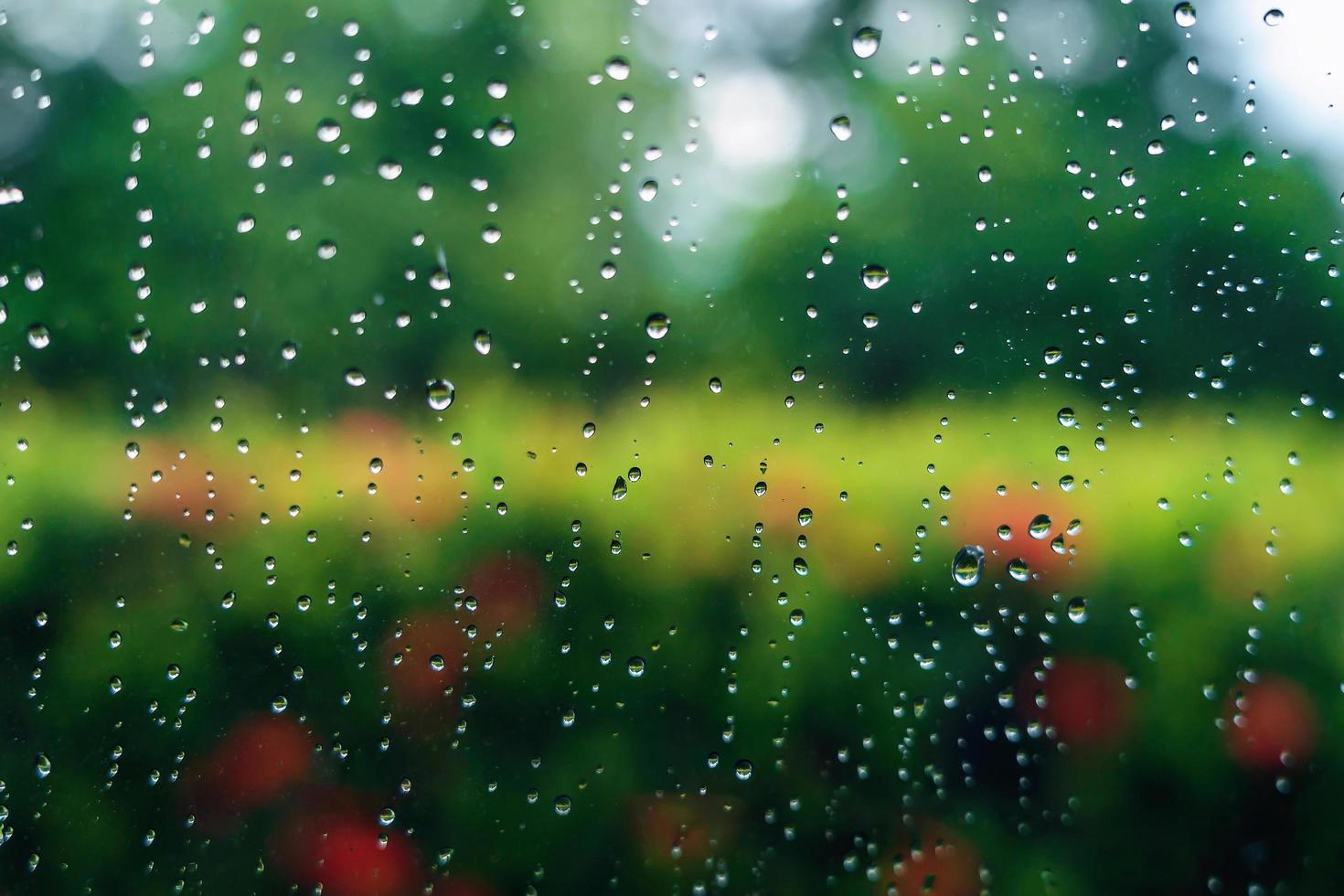 Rain droplets on surface of car glass with blurred green nature background through window glass of car covered by raindrops. Freshness after rain. Wet windscreen shot from inside car. Selective focus. photo