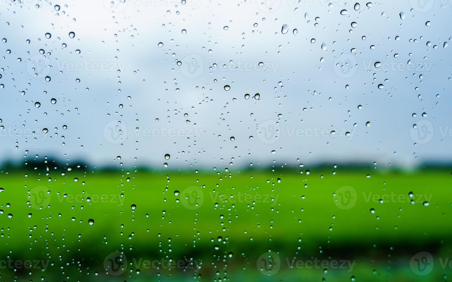 Rain droplets on surface of car glass with blurred green nature background through window glass of car covered by raindrops. Freshness after rain. Wet windscreen shot from inside car. Selective focus. photo