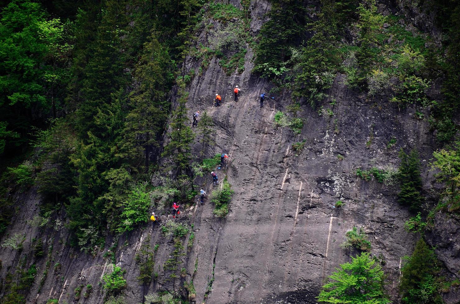 climbers on a rock wall photo