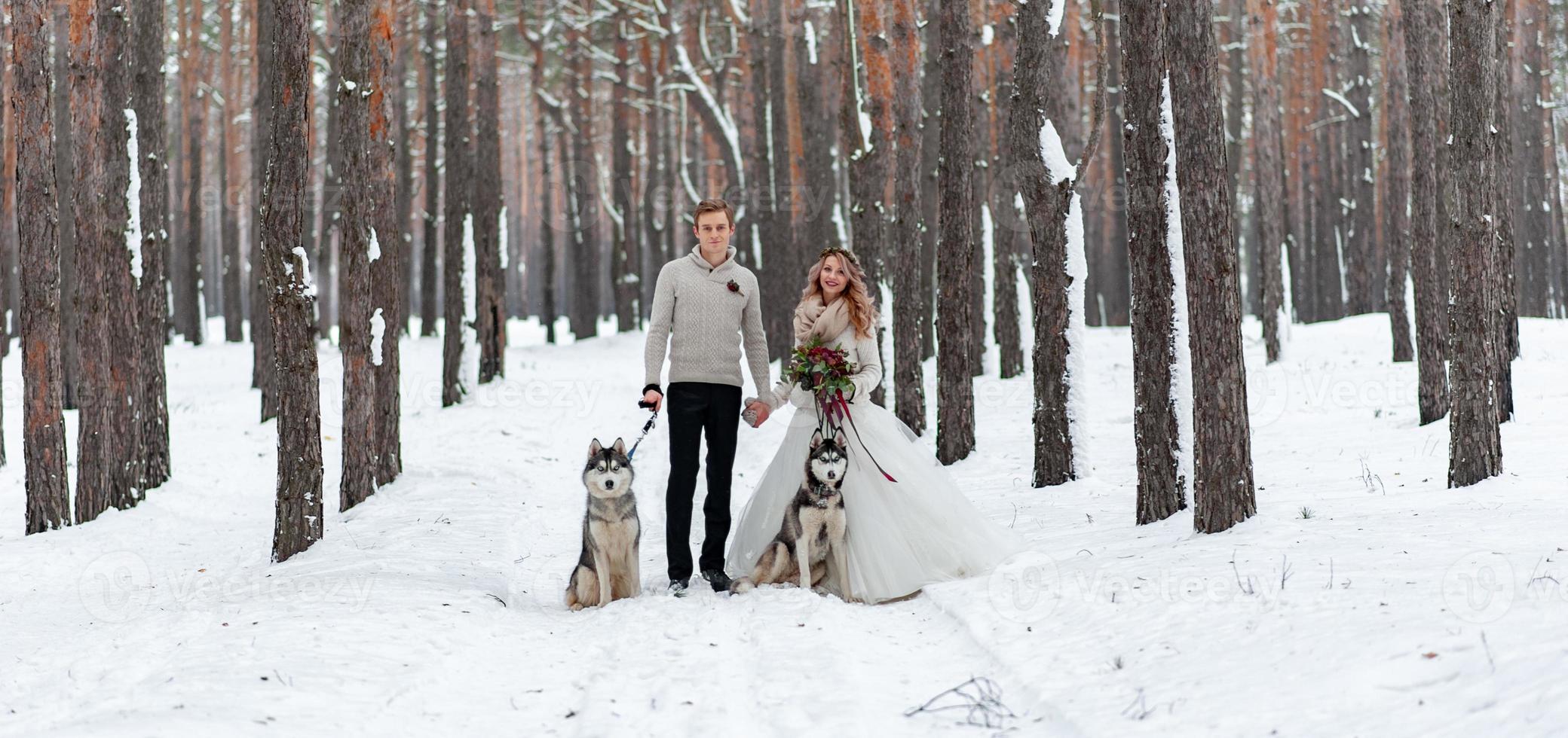 Cheerful couple are playing with siberian husky in snowy forest. Winter wedding. photo