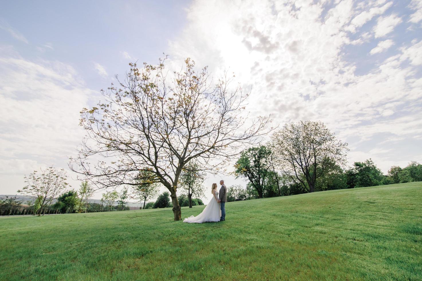 The bride and groom hold each other's hands. A man and a woman look into each other's eyes. photo