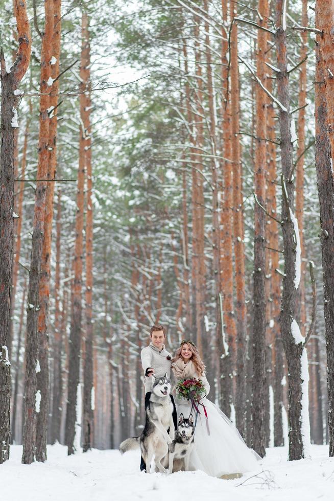 una pareja alegre está jugando con un husky siberiano en un bosque nevado. boda de invierno. foto