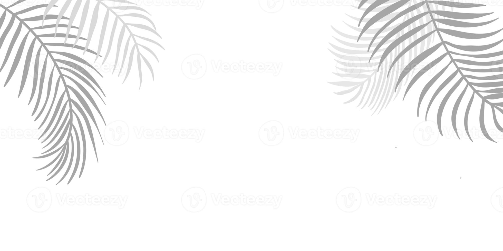 Leaf background palm leaf pattern nature summer photo