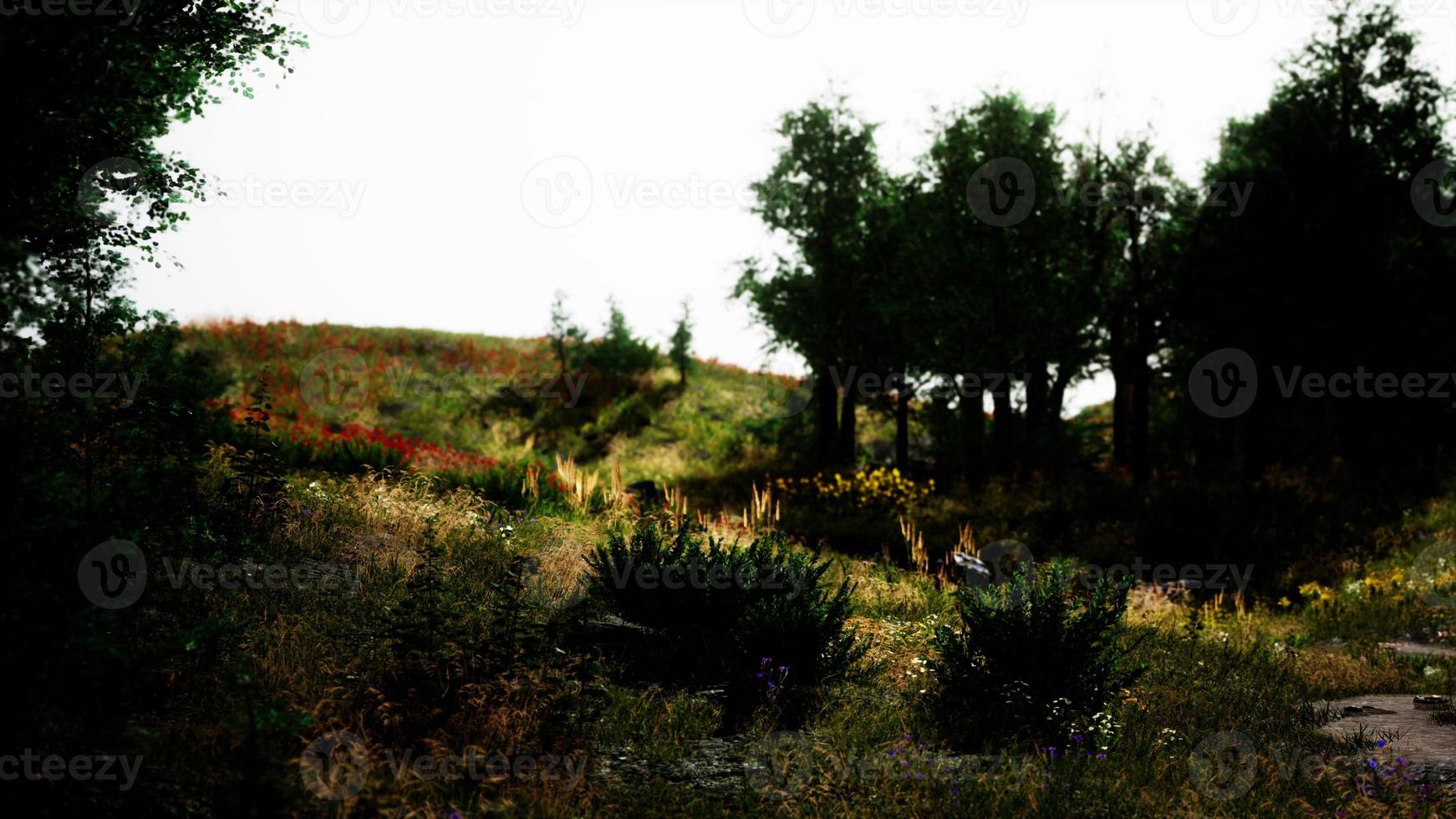 Beautiful panoramic landscape of the Pyrenees mountain valley photo