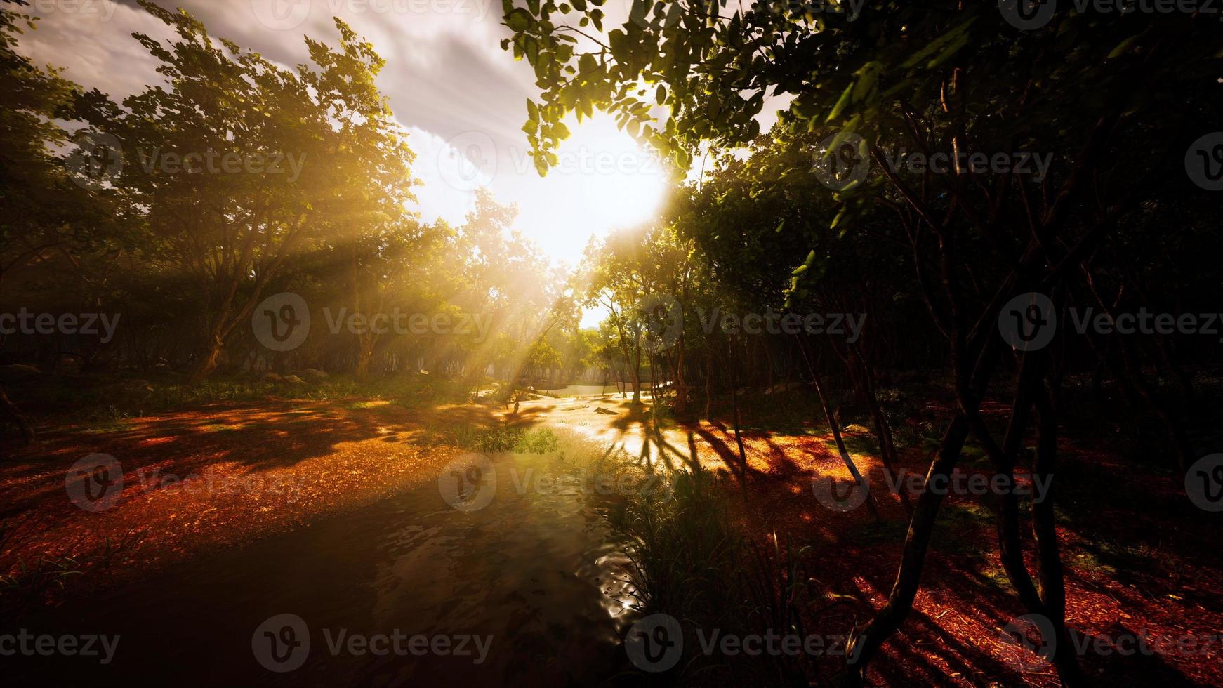 Foggy lake scape and vibrant autumn colors in trees at dawn photo