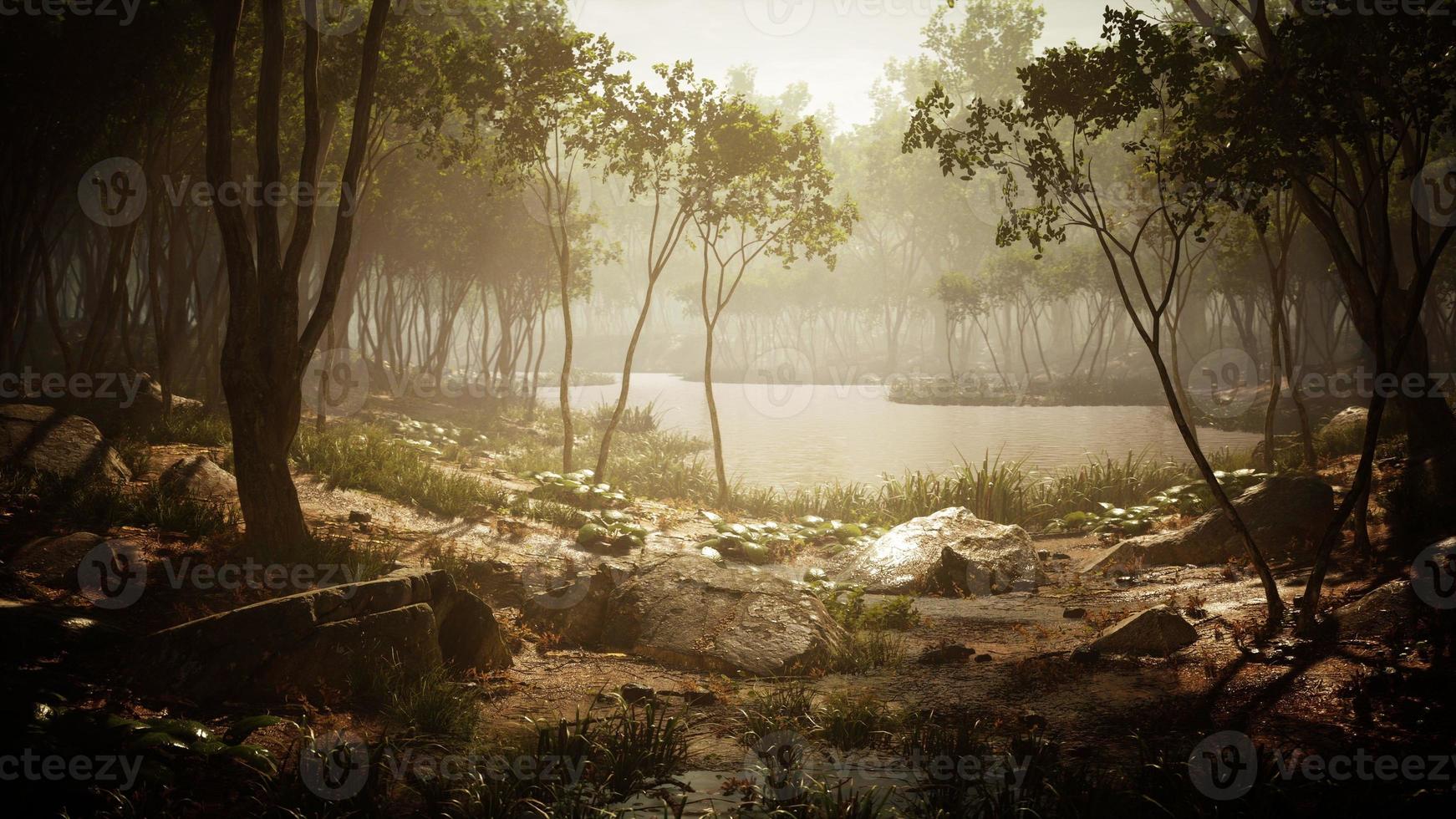 Sunrise with sunbeams through the forest by the lake photo