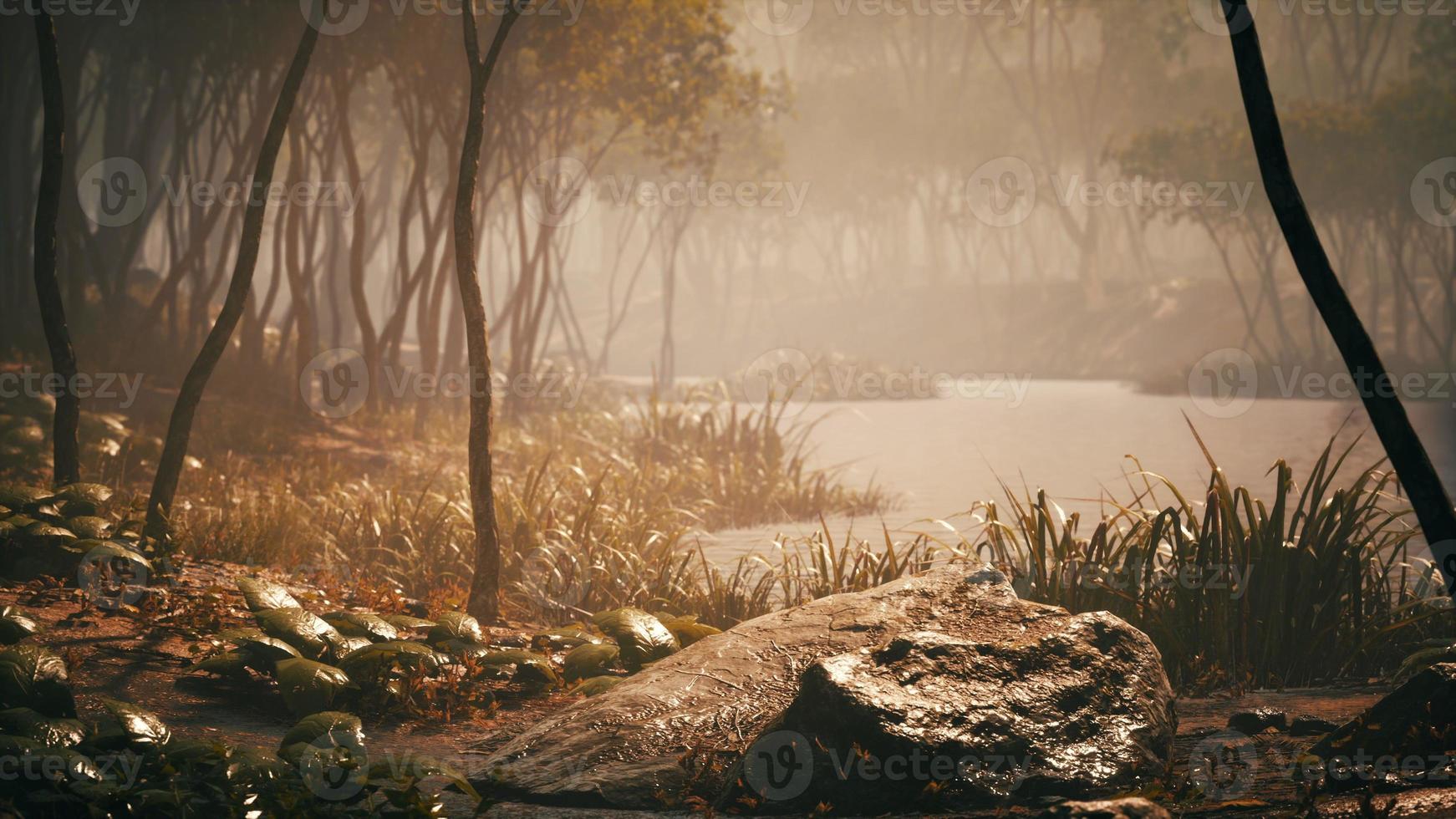 Sunrise with sunbeams through the forest by the lake photo