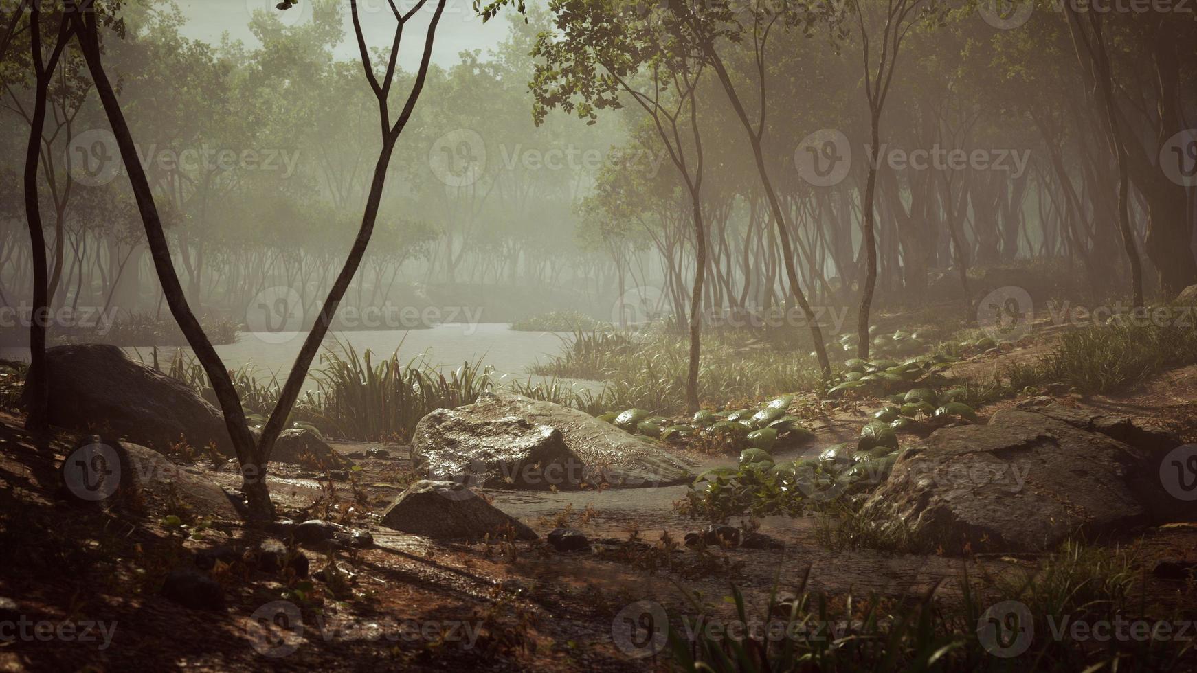 River in mysterious forest with fog photo