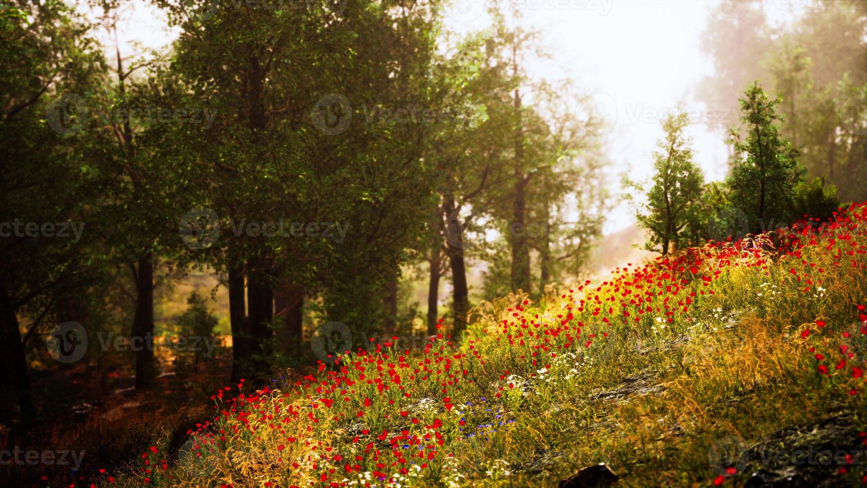 hermosa vista del idílico paisaje montañoso alpino con prados florecientes foto