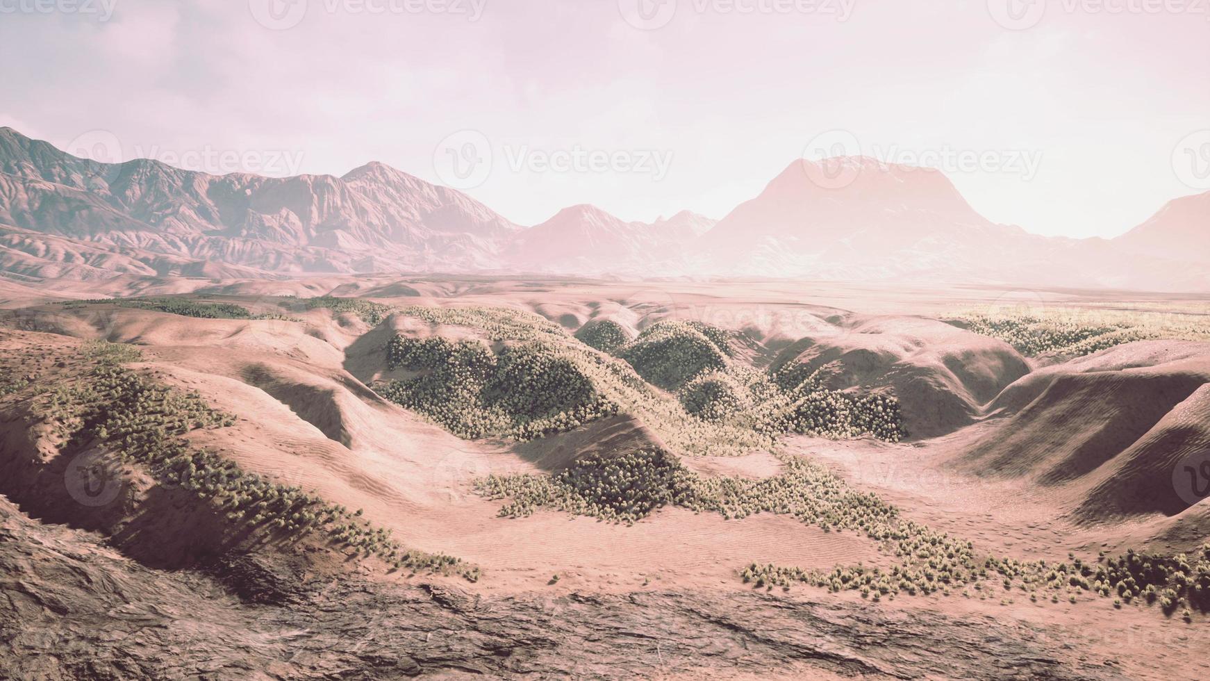 Aerial view of the Sahara desert photo