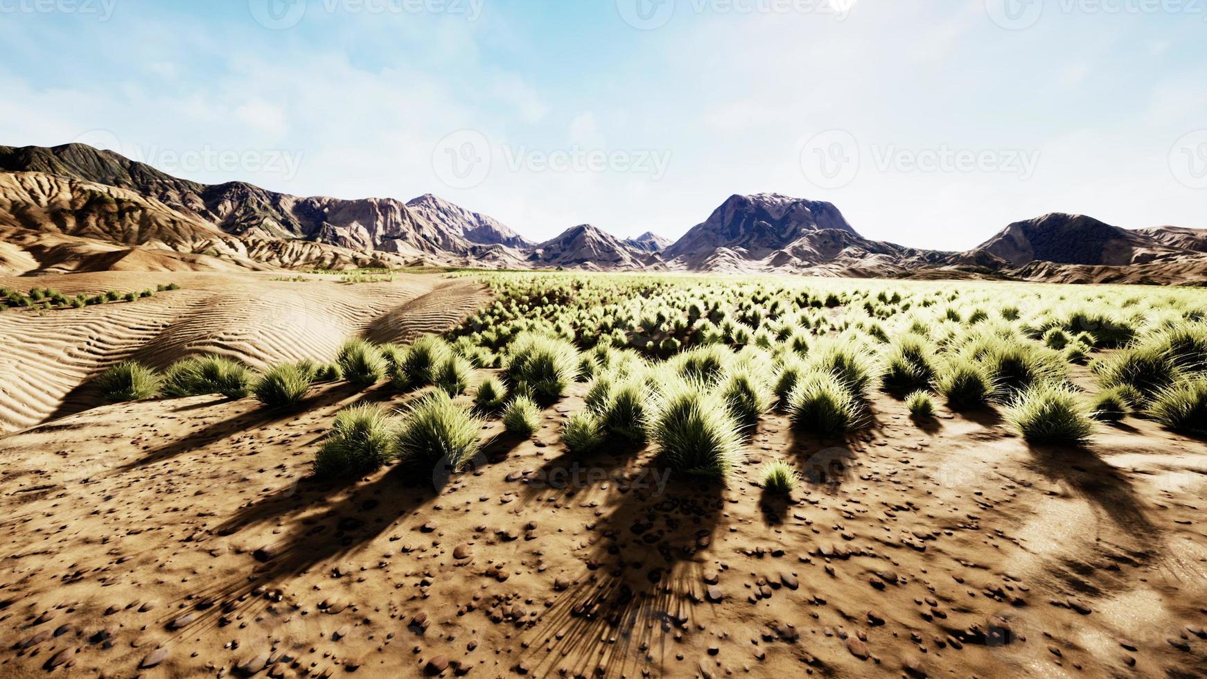 Beautiful yellow orange sand dune in desert in middle Asia photo