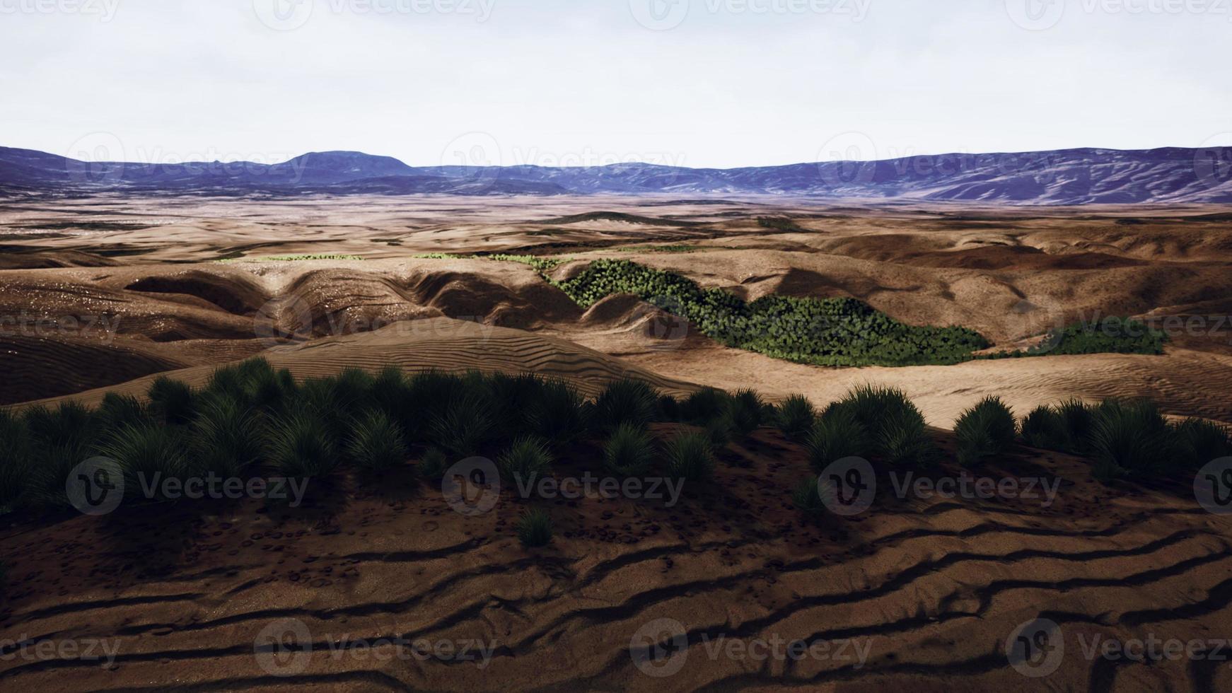 Beautiful yellow orange sand dune in desert in middle Asia photo