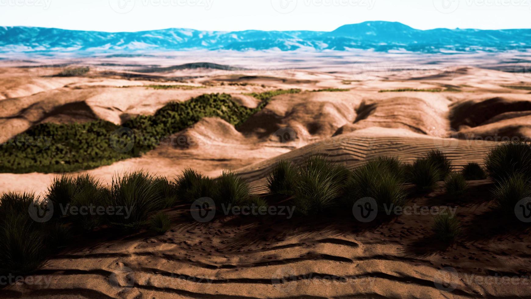 Stoney desert in outback Australia photo